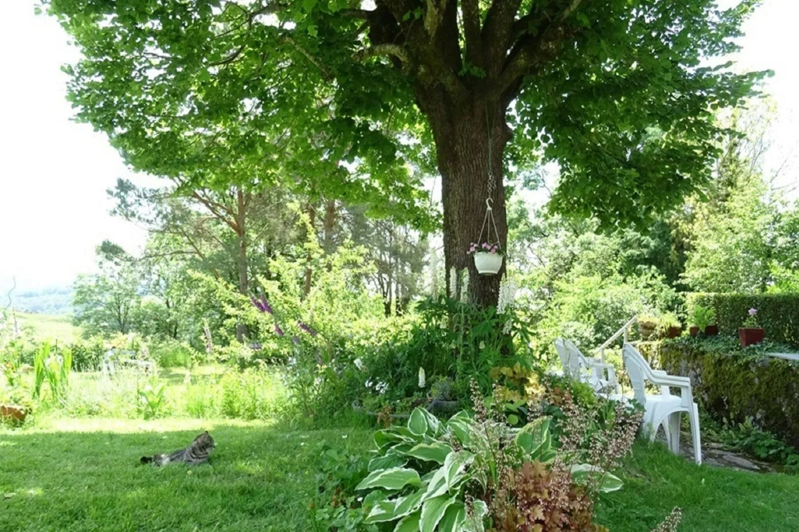 Petite Plaisance-Exterior summer