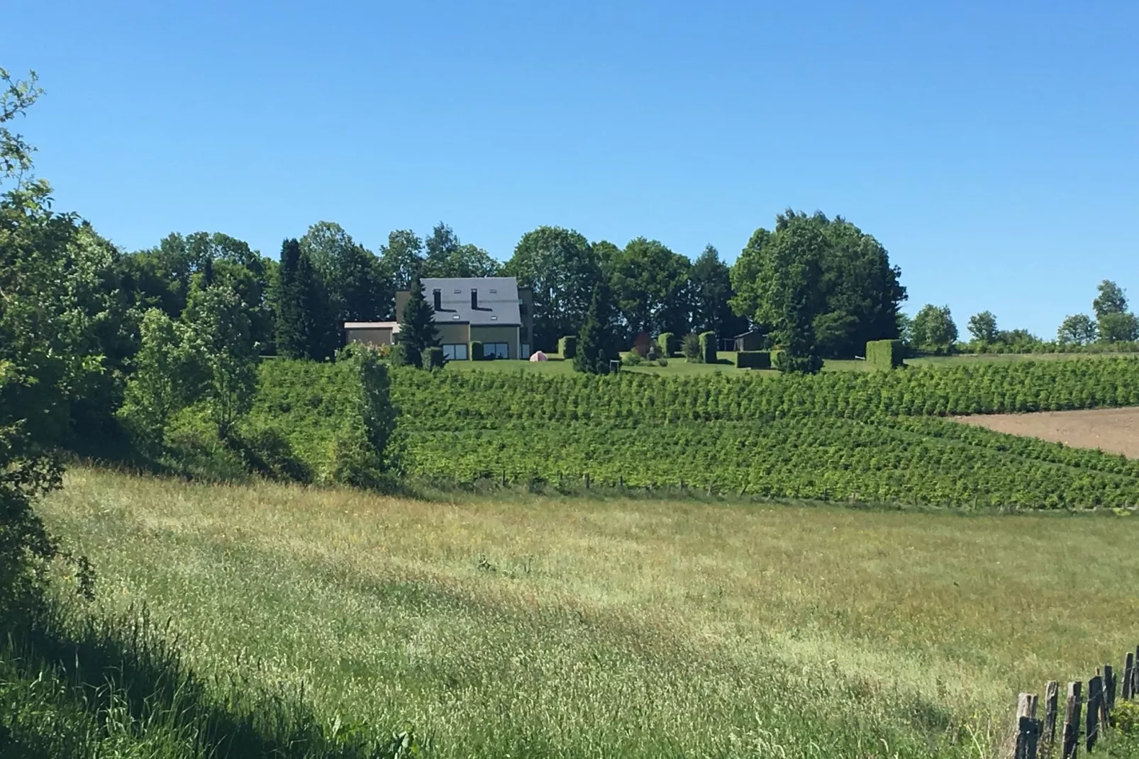 Les Chenets-Areas summer 1km