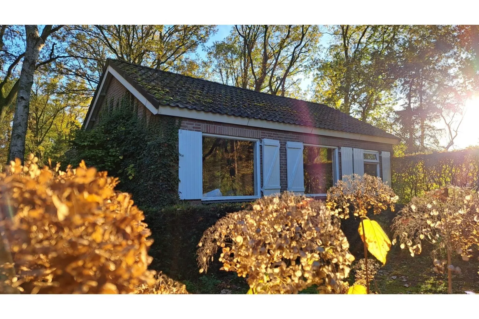 Vier Vogelenzang-Exterior summer