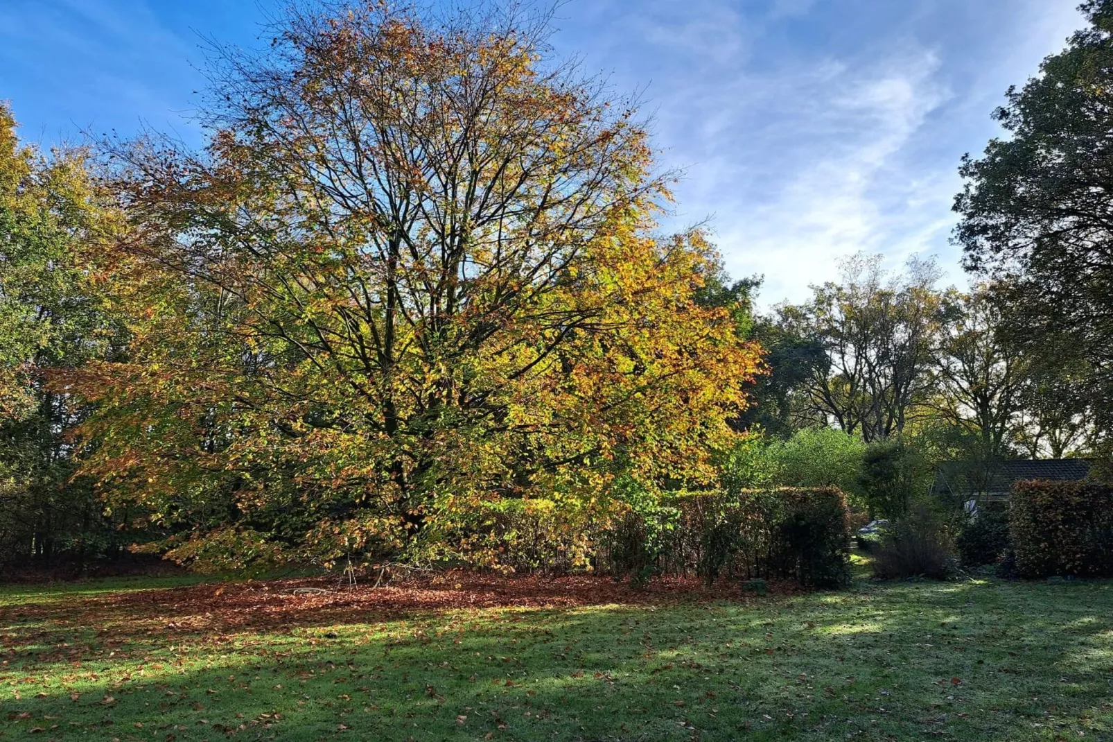 Vier Vogelenzang-Gardens summer