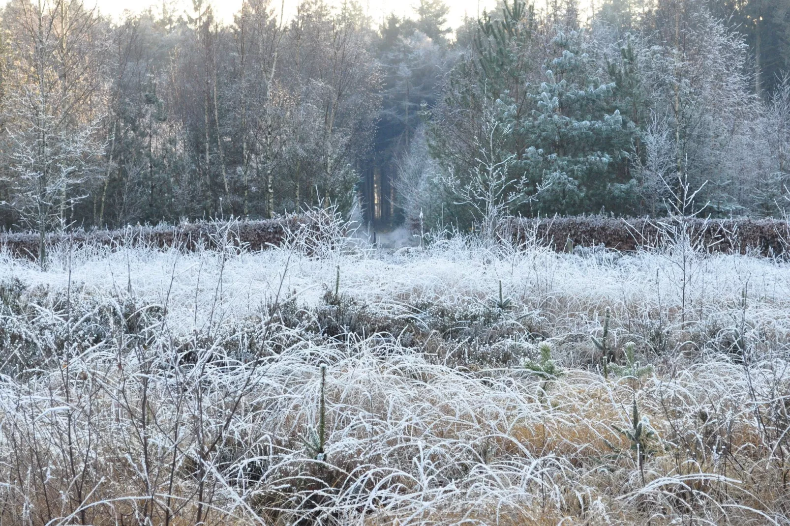 Loods 57B - Area within 20km in winter