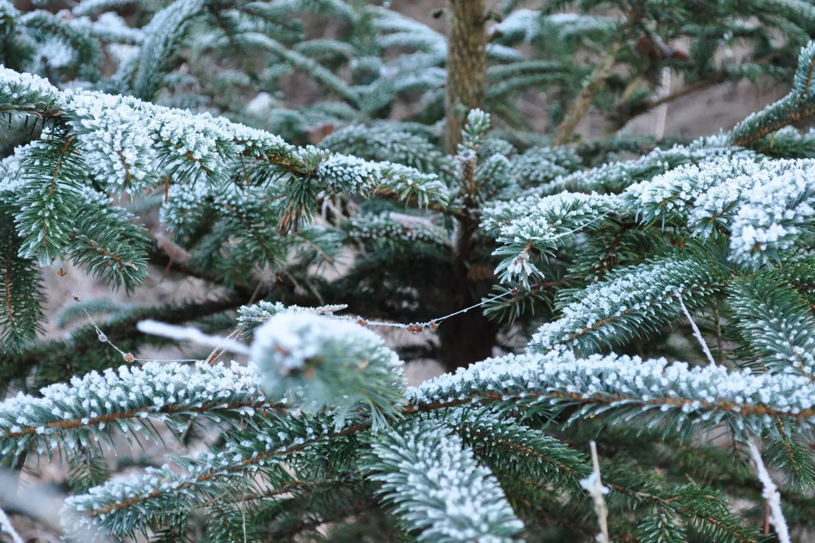 Loods 57B - Area within 20km in winter