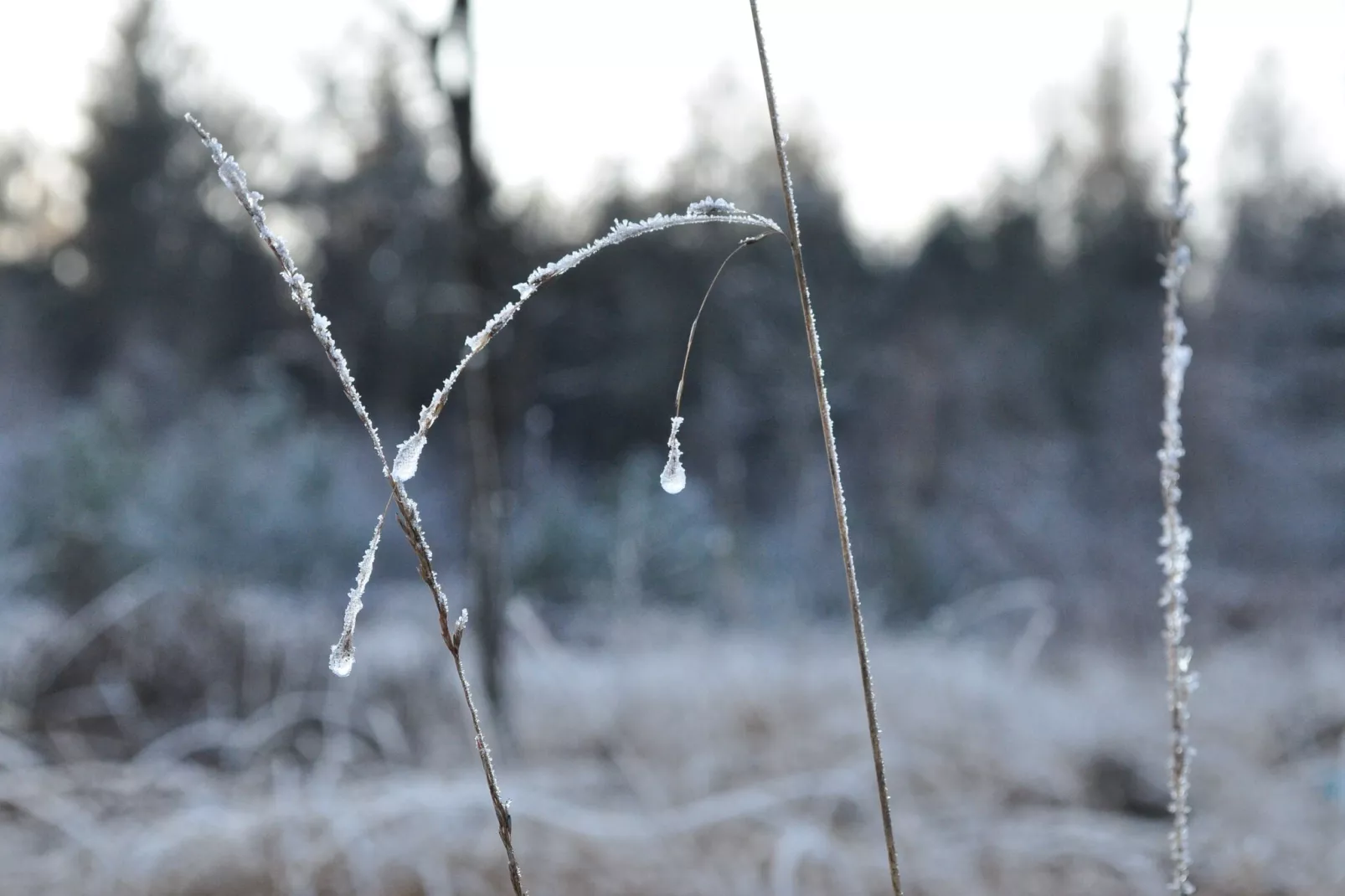 Loods 57B - Area within 20km in winter