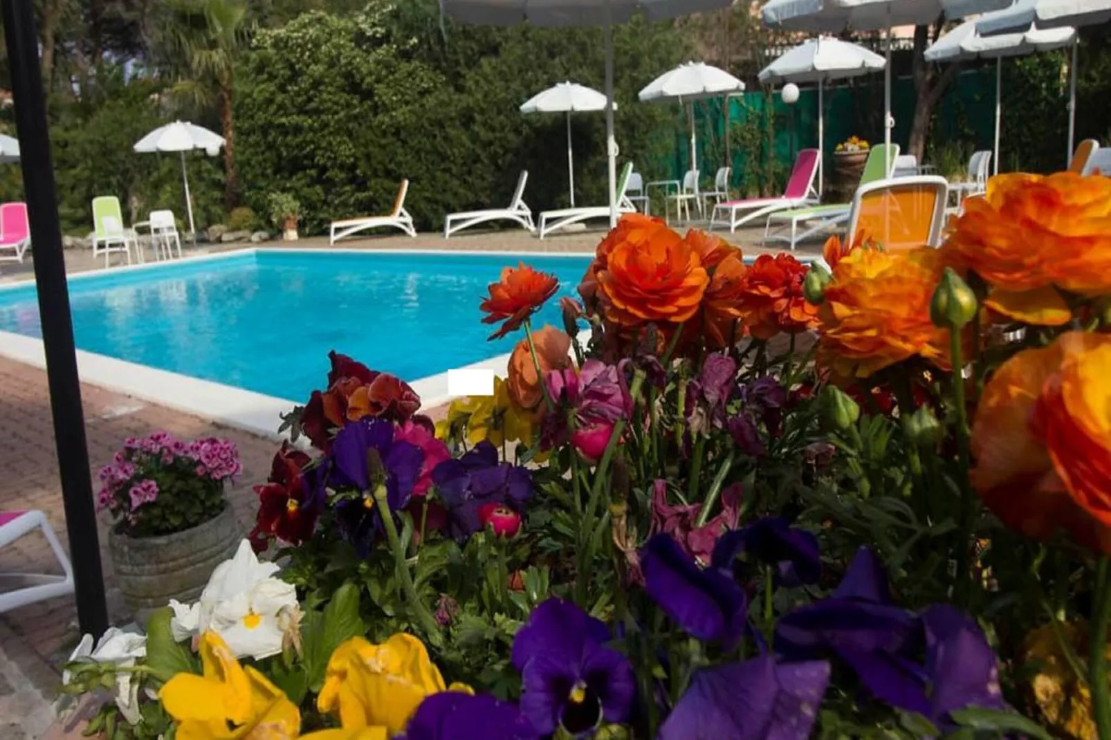 Appartamento 1 al piano 1-Pool