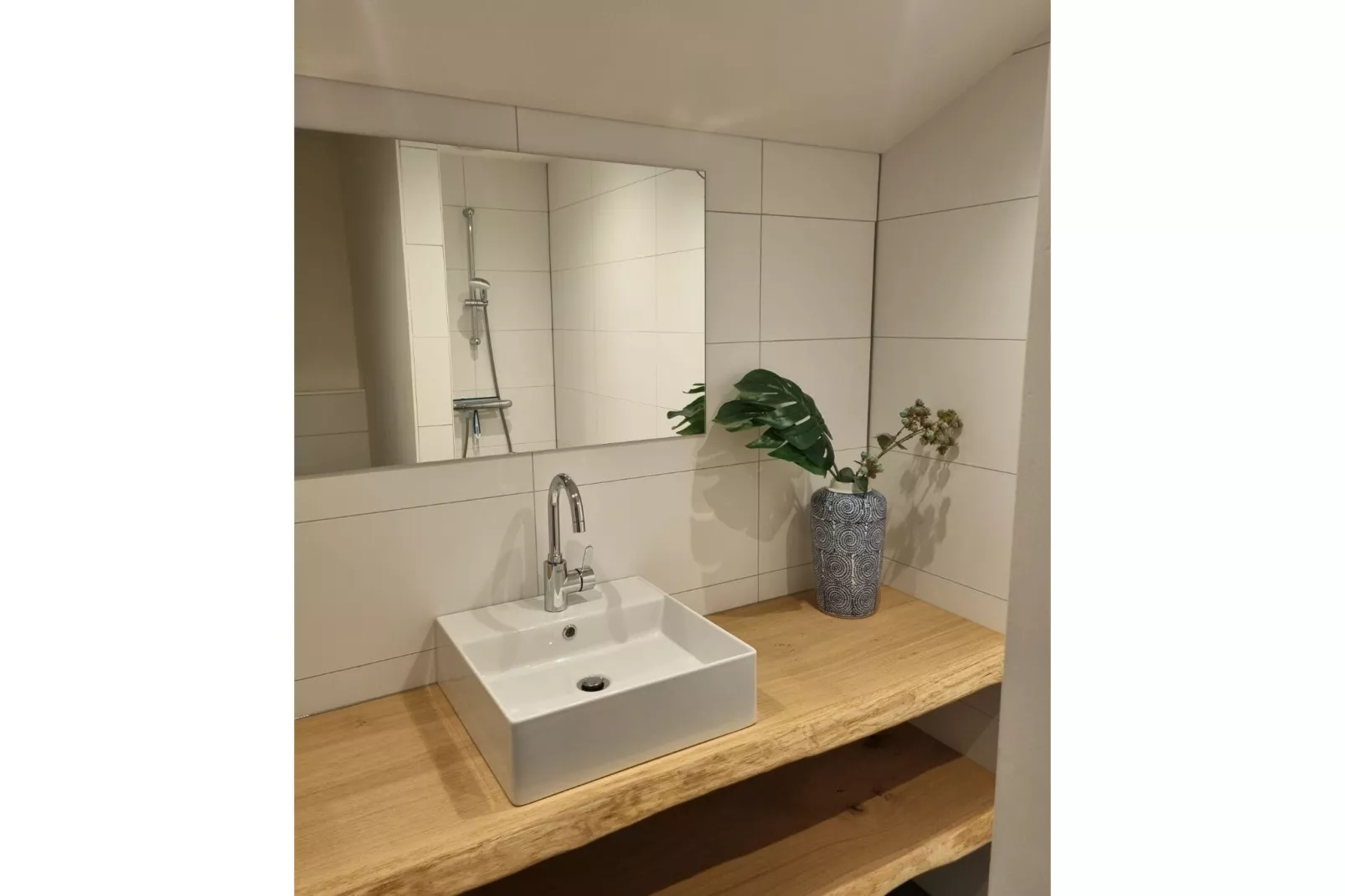 Dorpswoning De Volbloed-Badezimmer