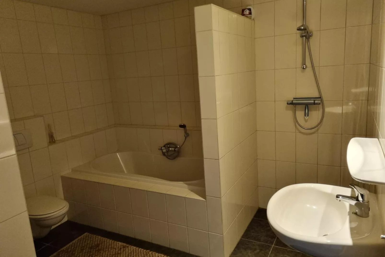Dorpswoning De Volbloed-Badezimmer