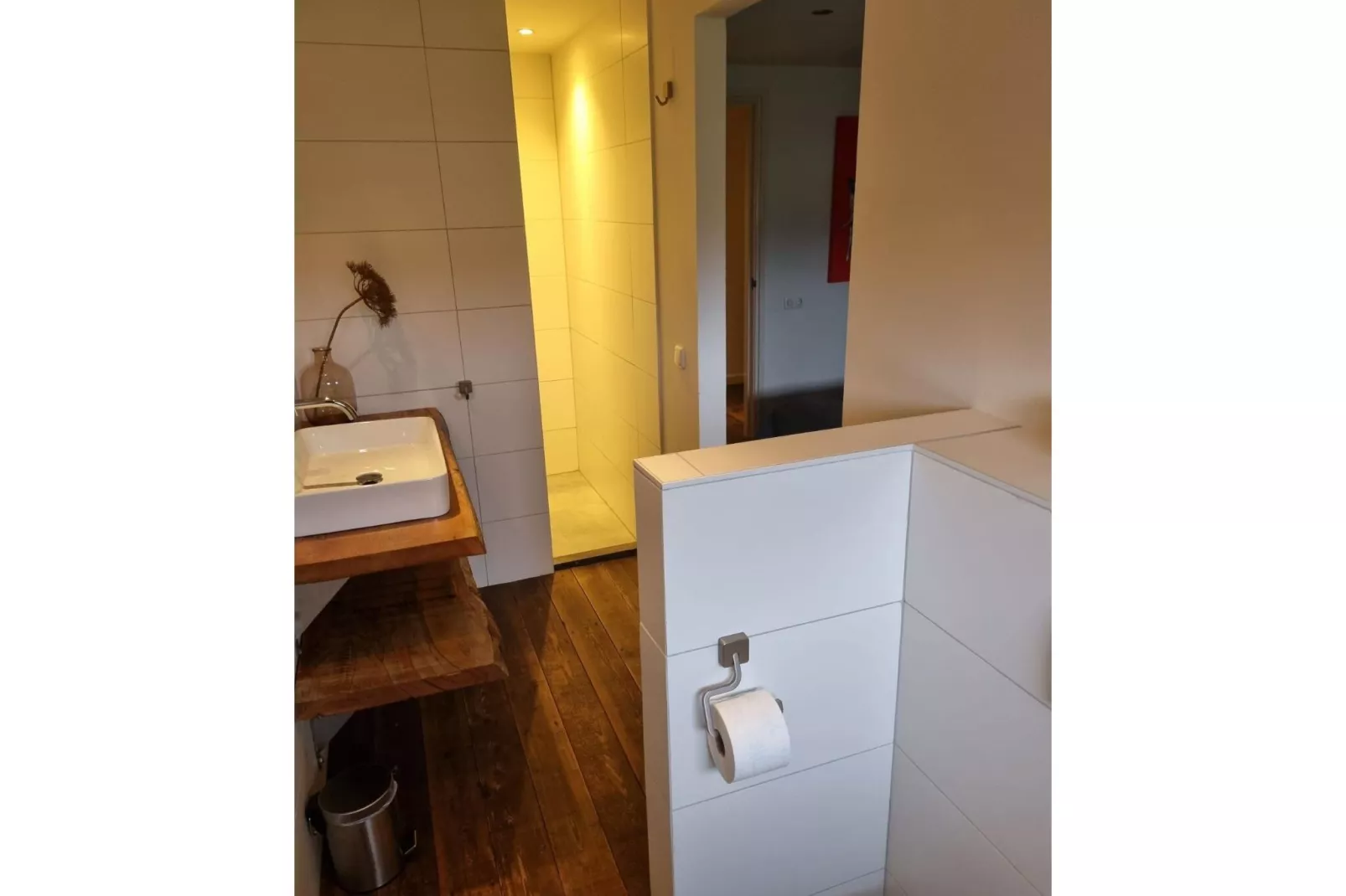 Dorpswoning De Volbloed-Badezimmer