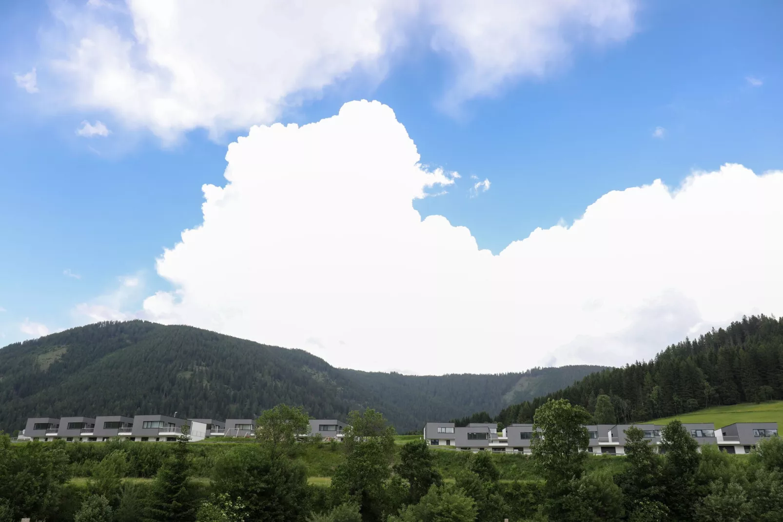 Naturpark Chalets 12 17 22 24-Vue d'été