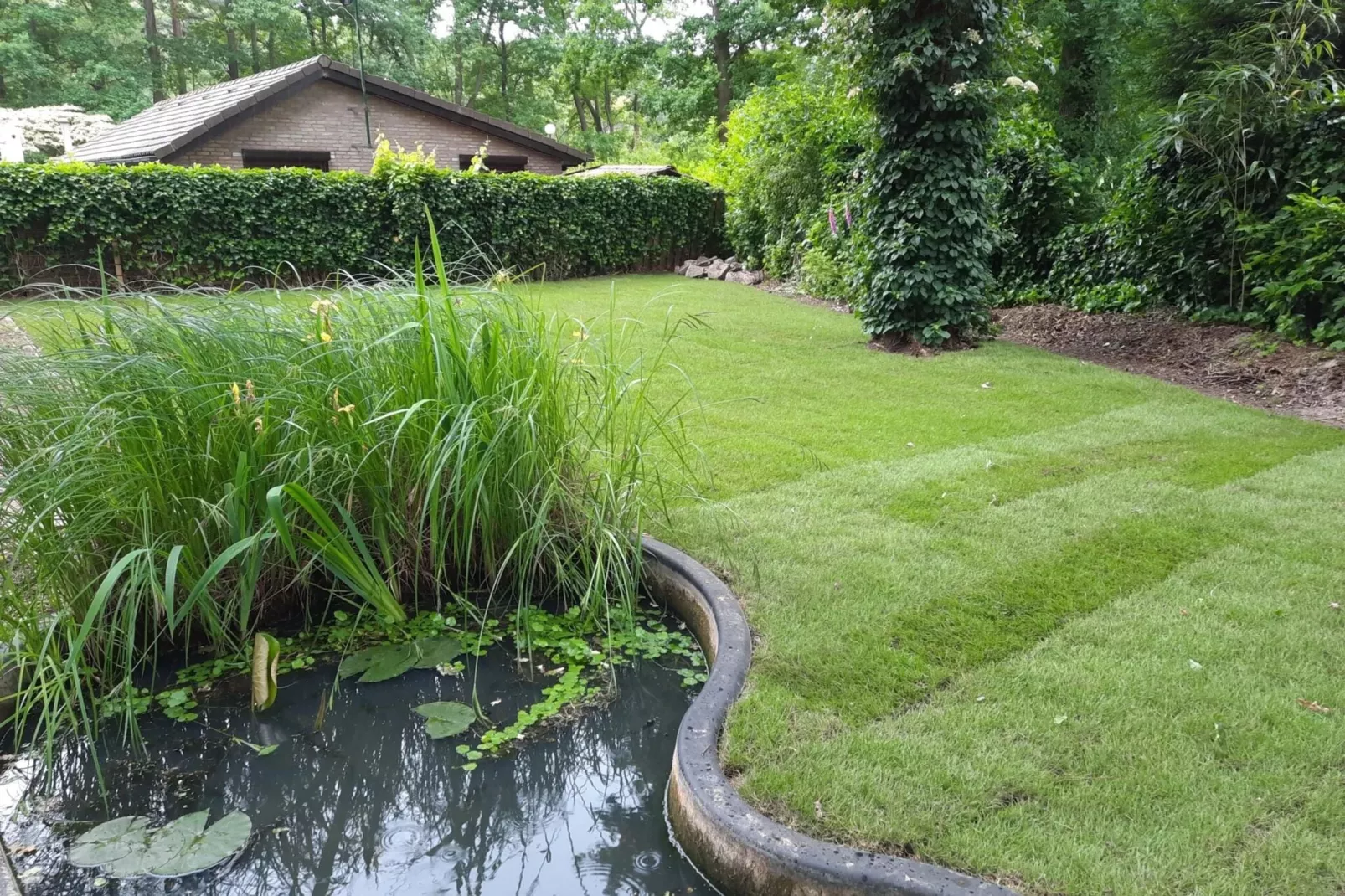 Het Zalige Hoekje-Exterior summer