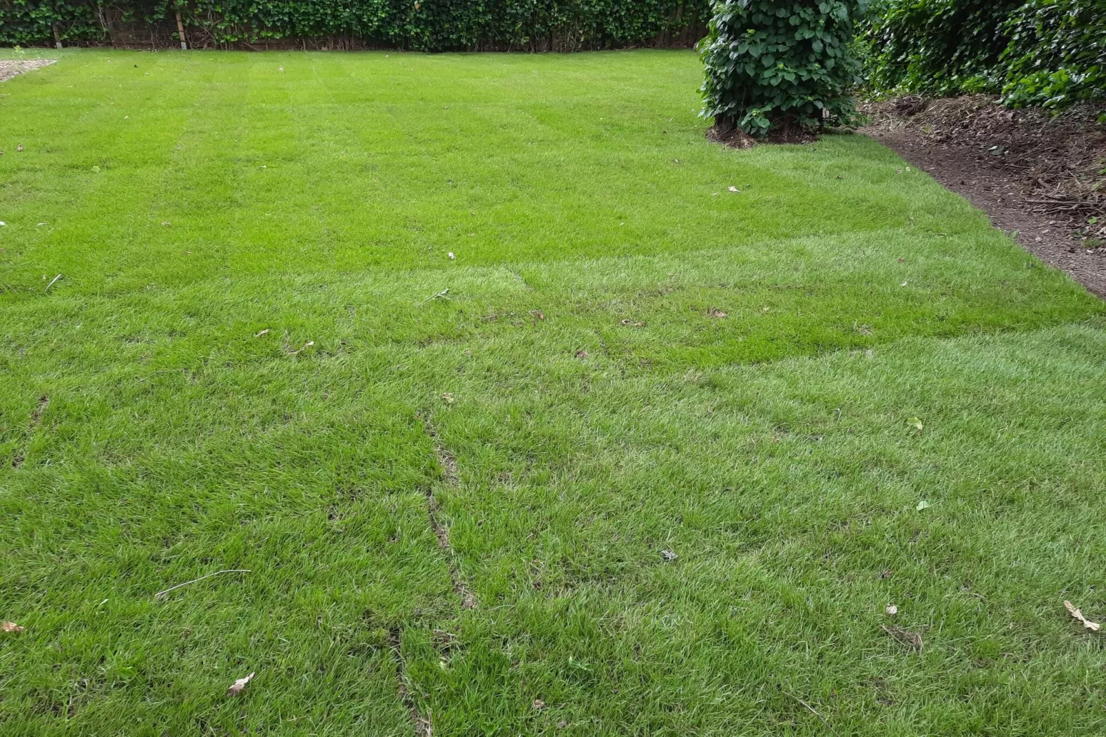 Het Zalige Hoekje-Exterior summer