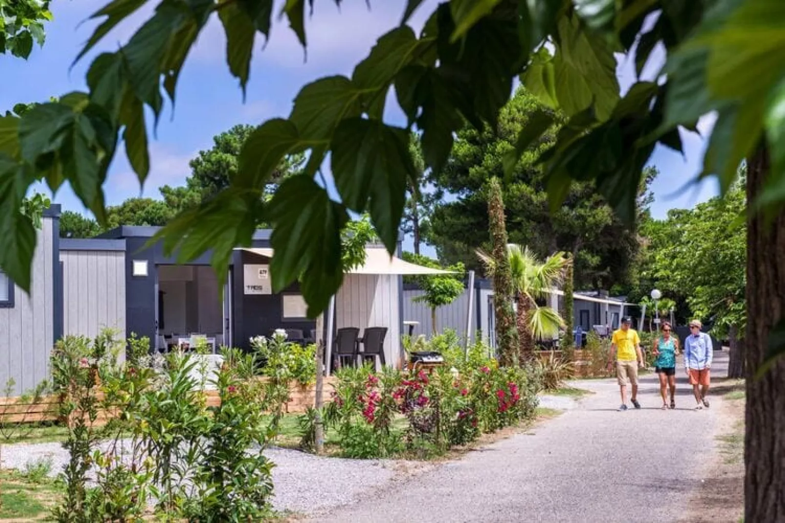 Mobile Homes Domaine Les Mûriers Vendres-Plage // Cottage VIP 3ch 6 pers climatisé-Gardens summer
