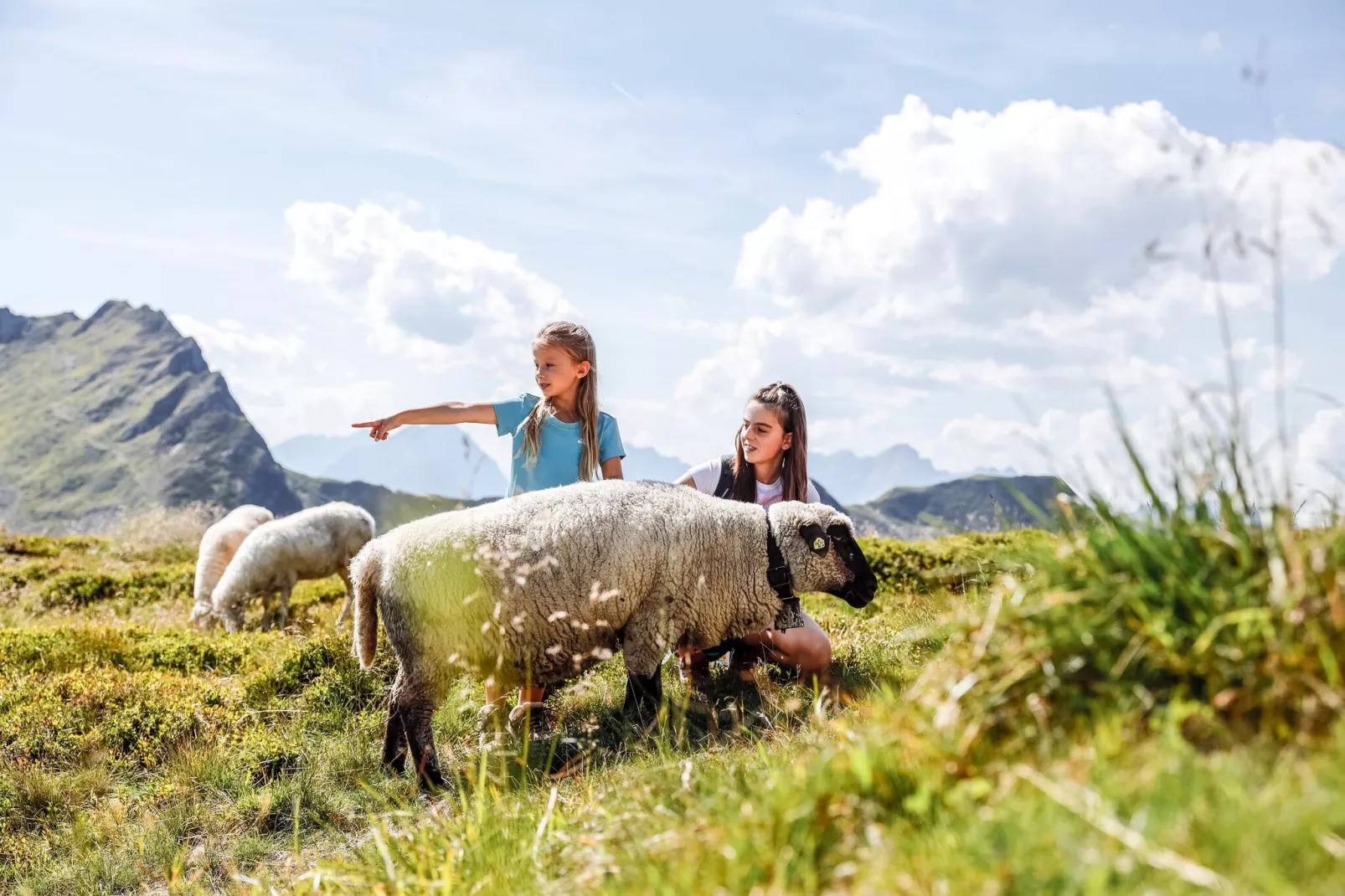 Ferienhaus Alpen Apart - 11 Personen-Areas summer 5km