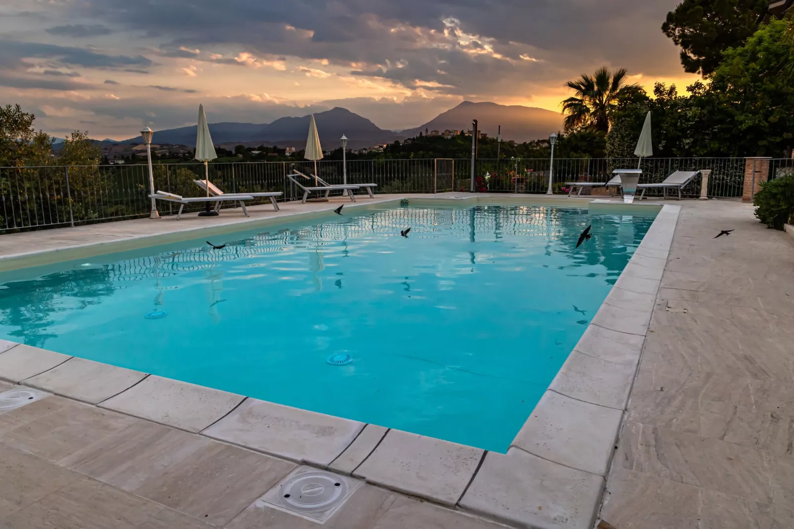 Oleandro-Pool