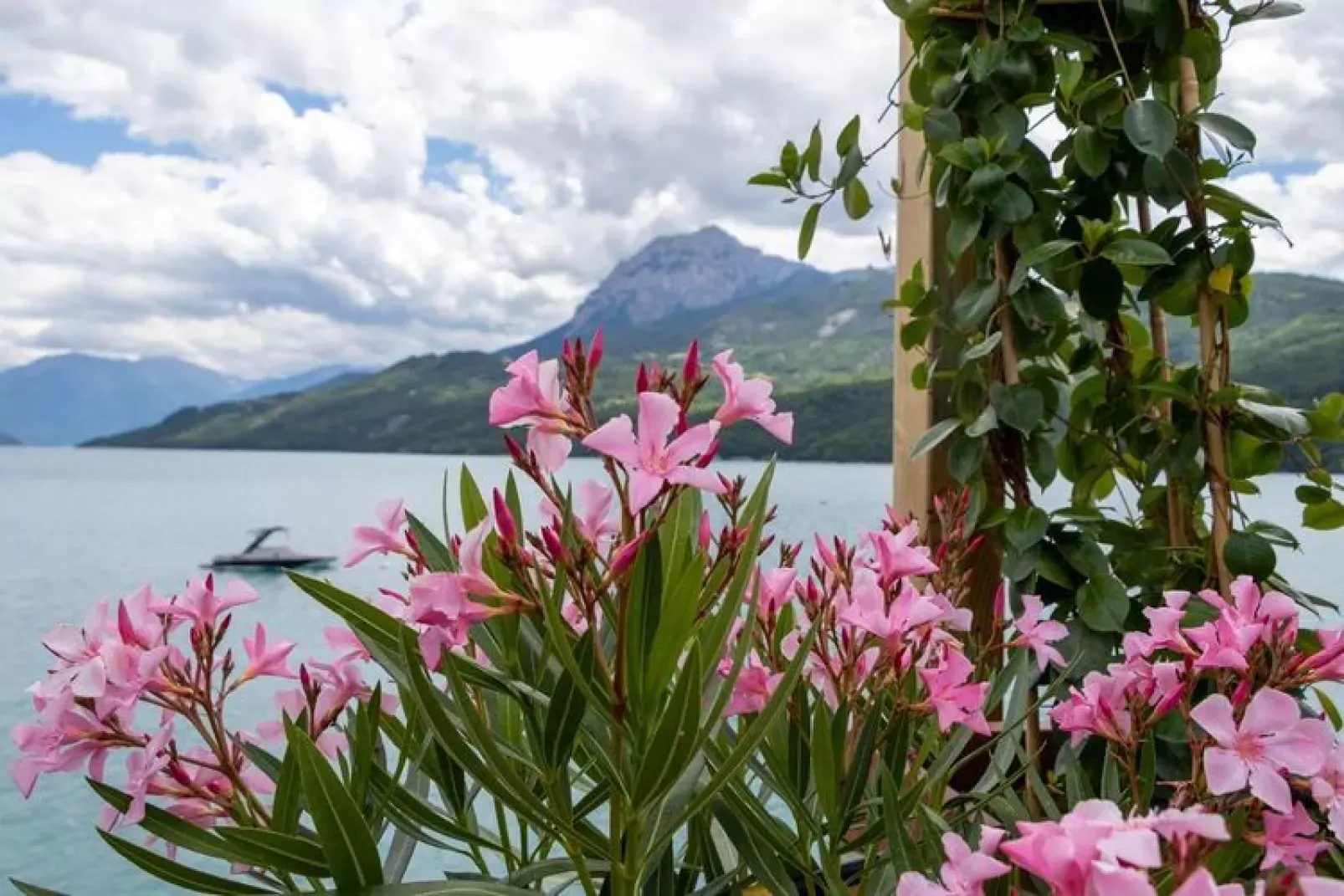 Domaine de l'Ecrin du Lac Chorges Mobile Homes - Chalet 36 qm 6 pers-Ambiente