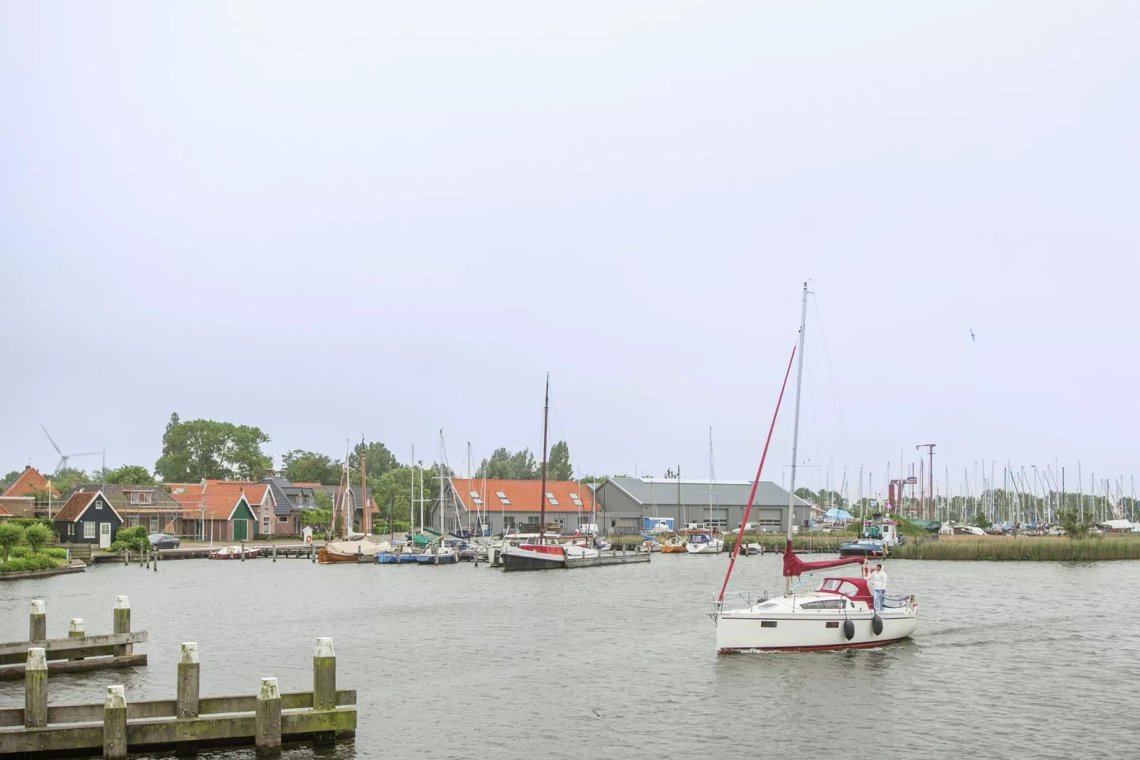 De Goudsbloem-Areas summer 5km