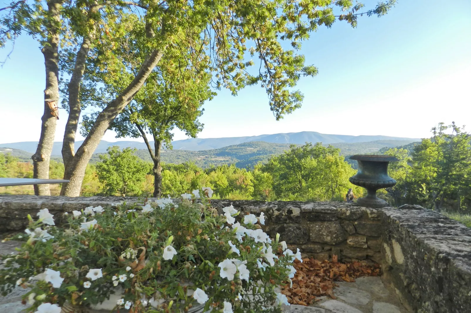 Luberon-View summer
