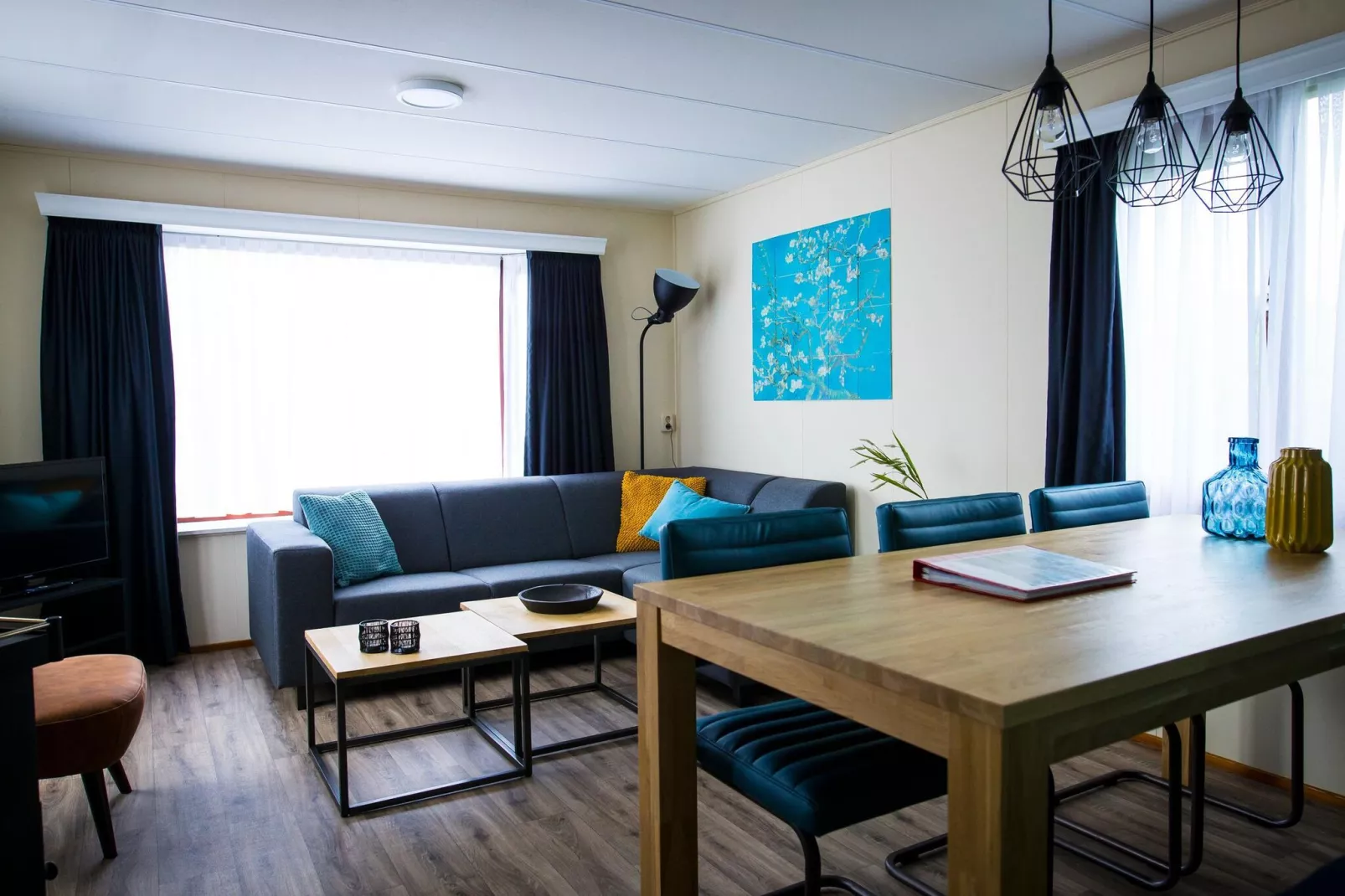 Recreatiepark Duinhoeve 3-Living room
