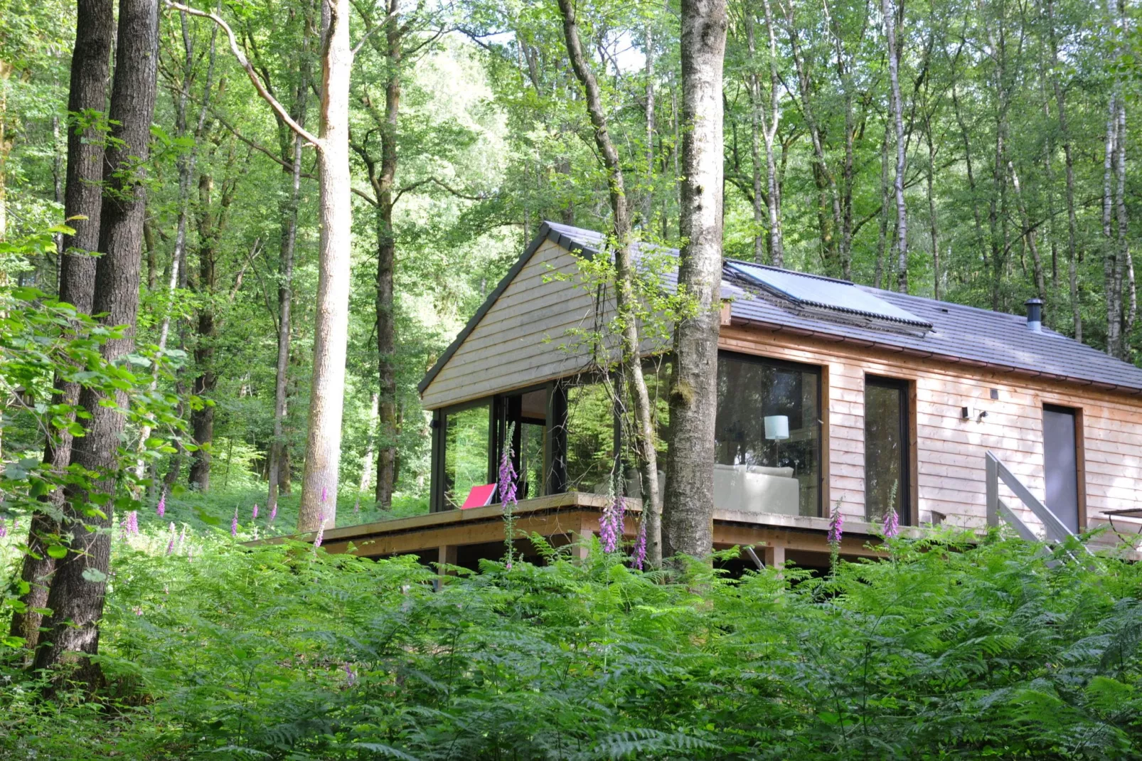 Droles d'écureuil-Exterior summer