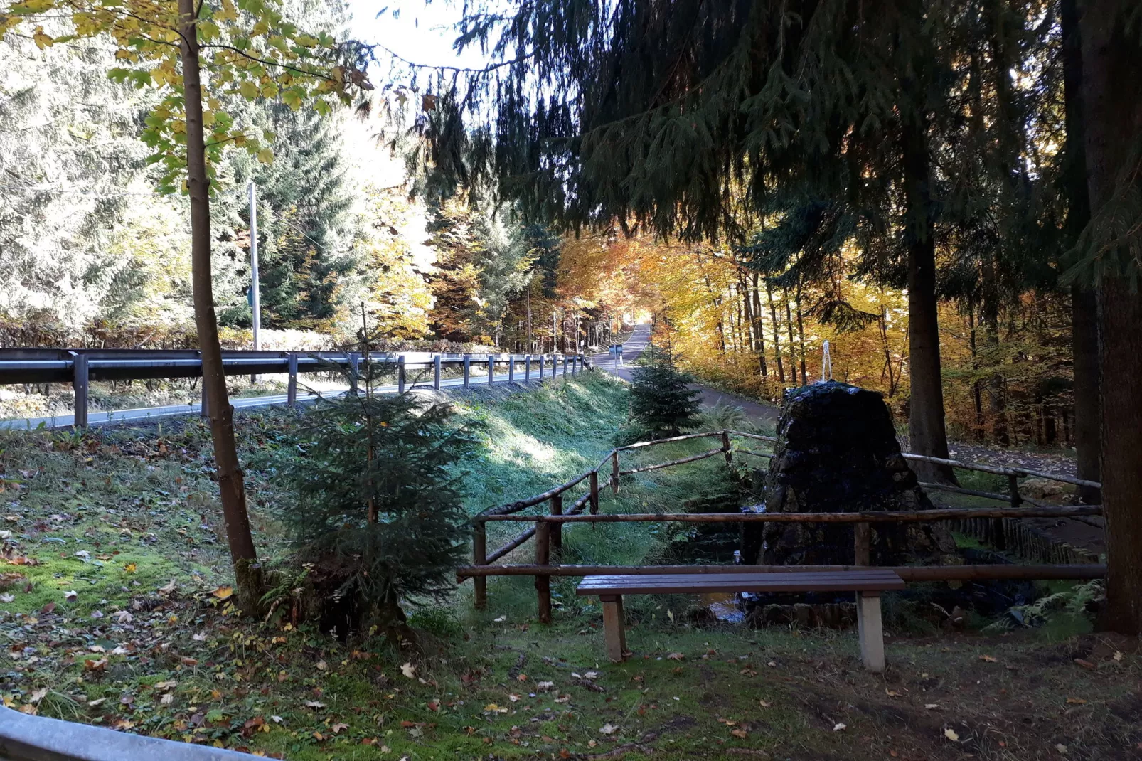 Im Erzgebirge-Gebiete Sommer 5 km