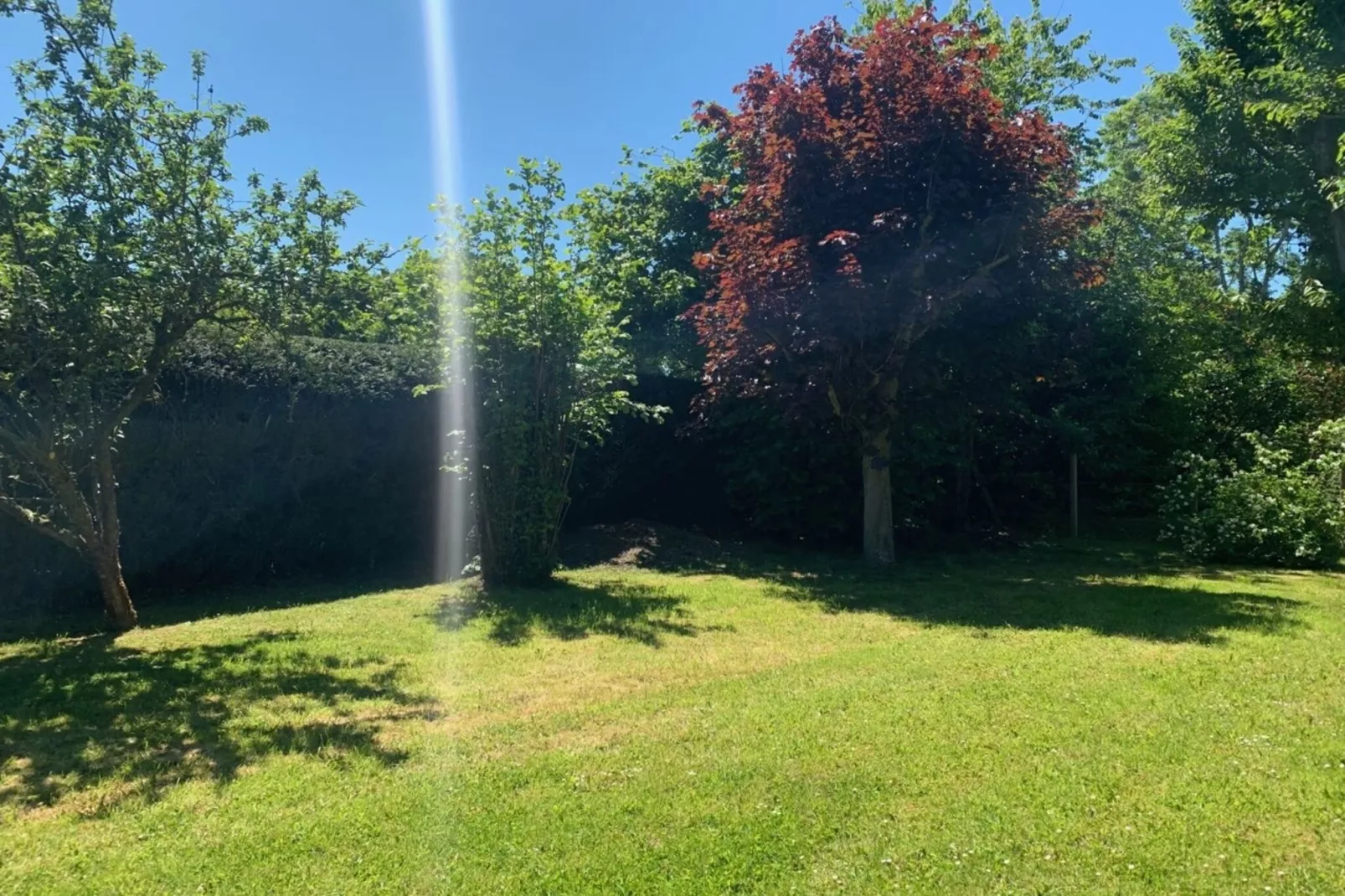 MAISON VIROLE-Jardin d'été