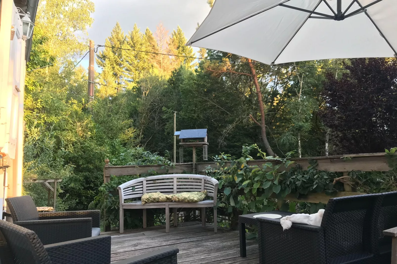 Fraise Du Bois-Terrace balcony