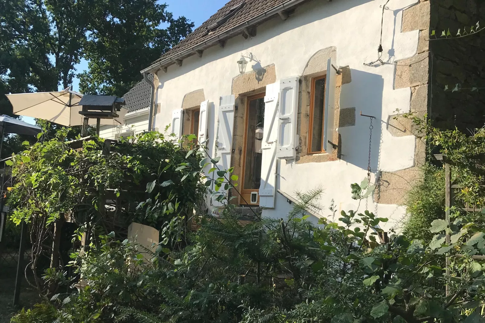 Fraise Du Bois-Exterior summer
