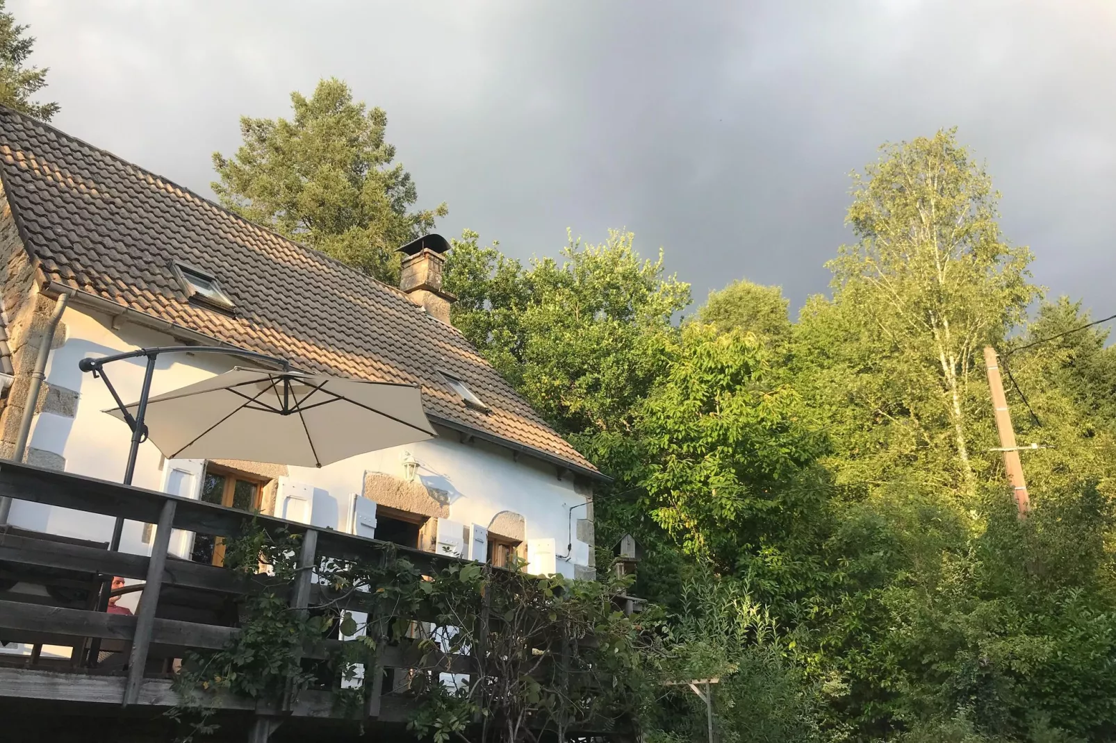 Fraise Du Bois-Exterior summer