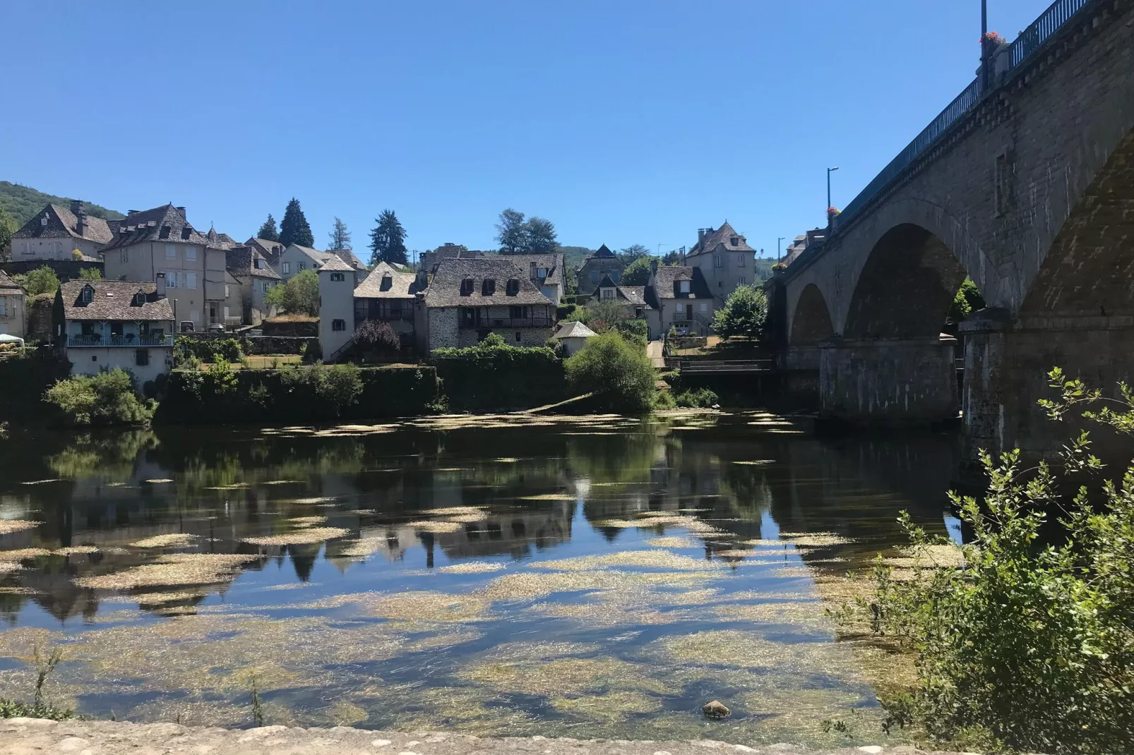 Fraise Du Bois-Areas summer 20km