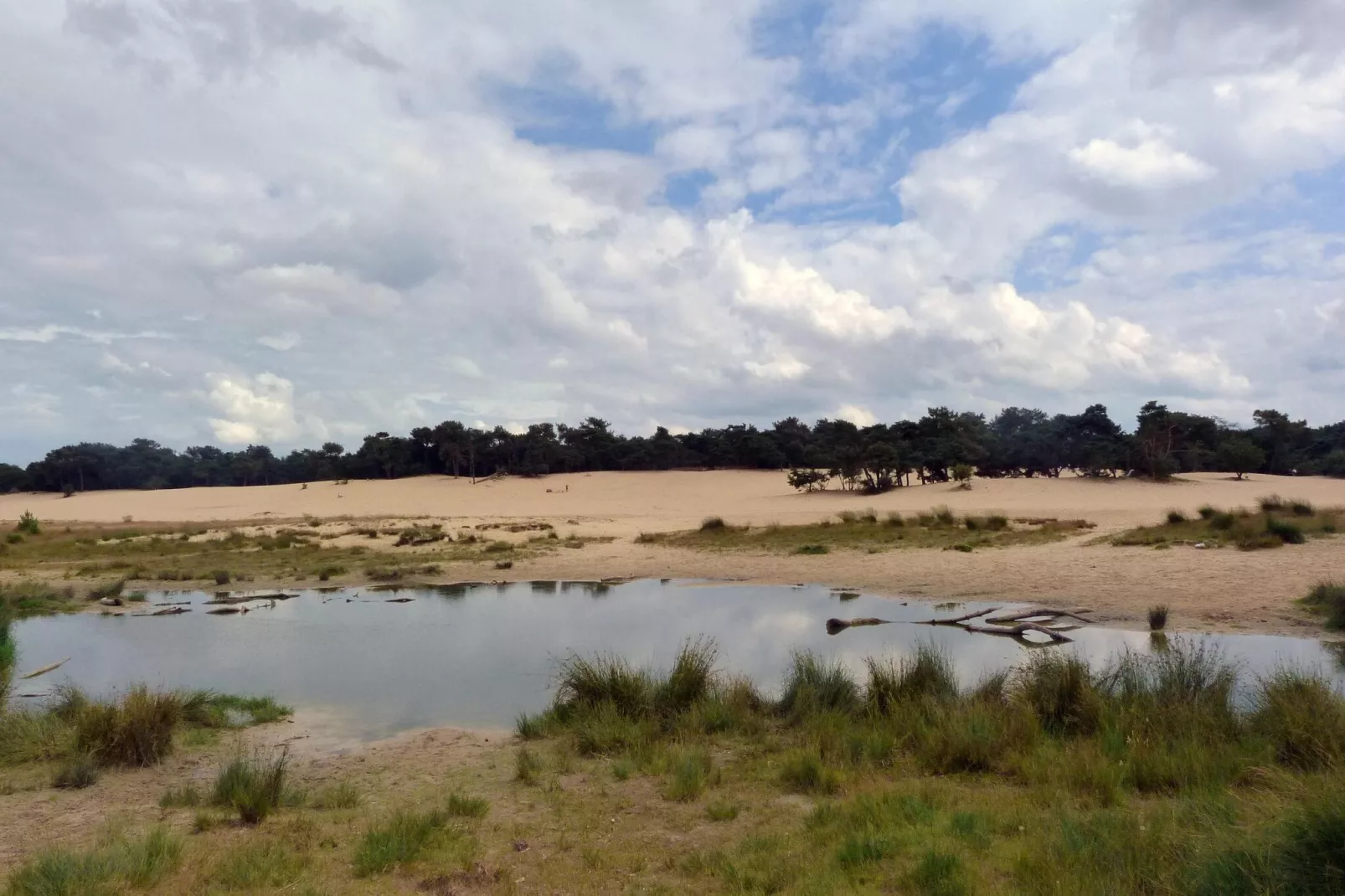 Recreatiepark Duinhoeve 3-Areas summer 5km