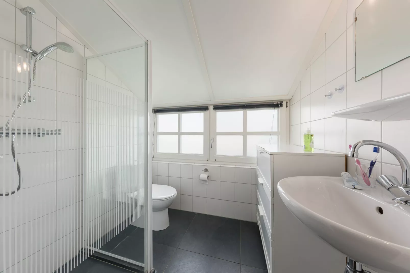 Waterpark Belterwiede 2-Bathroom