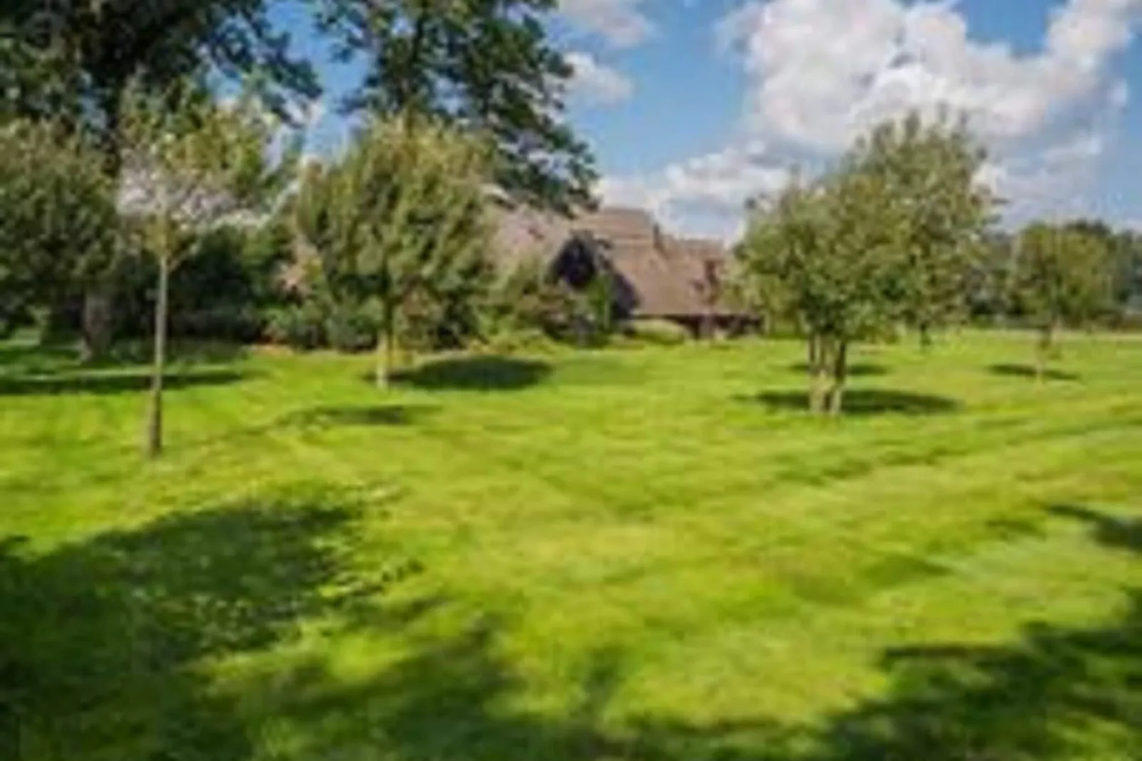Boerderij Dwingelderveld-Garten Sommer