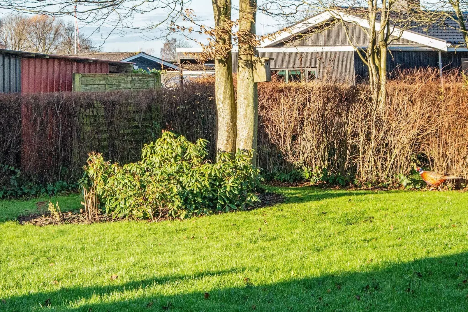 Maison de vacances pour 6 a Haderslev-By Traum