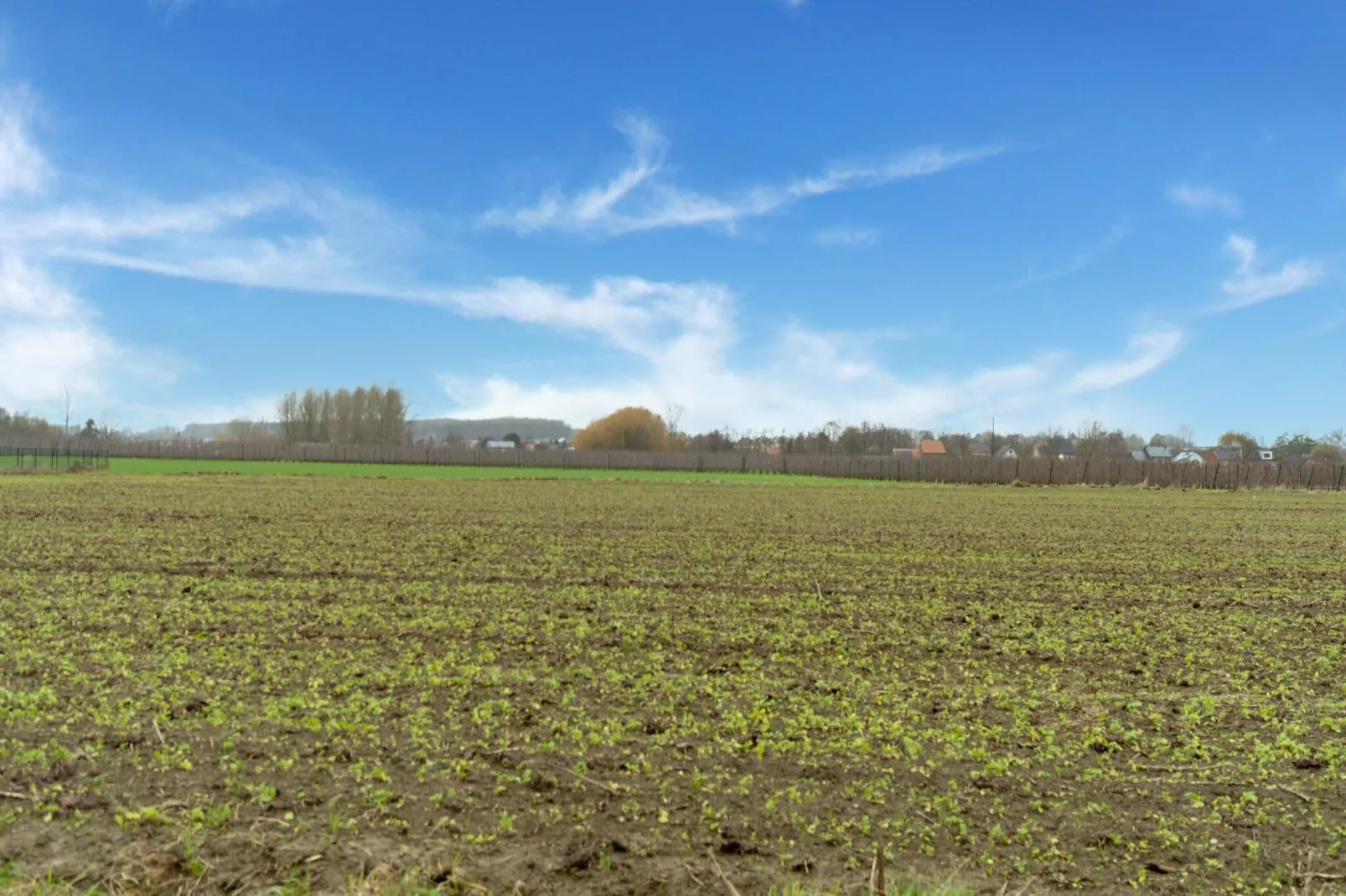 Leenhaag-Zones d'été à 5 km