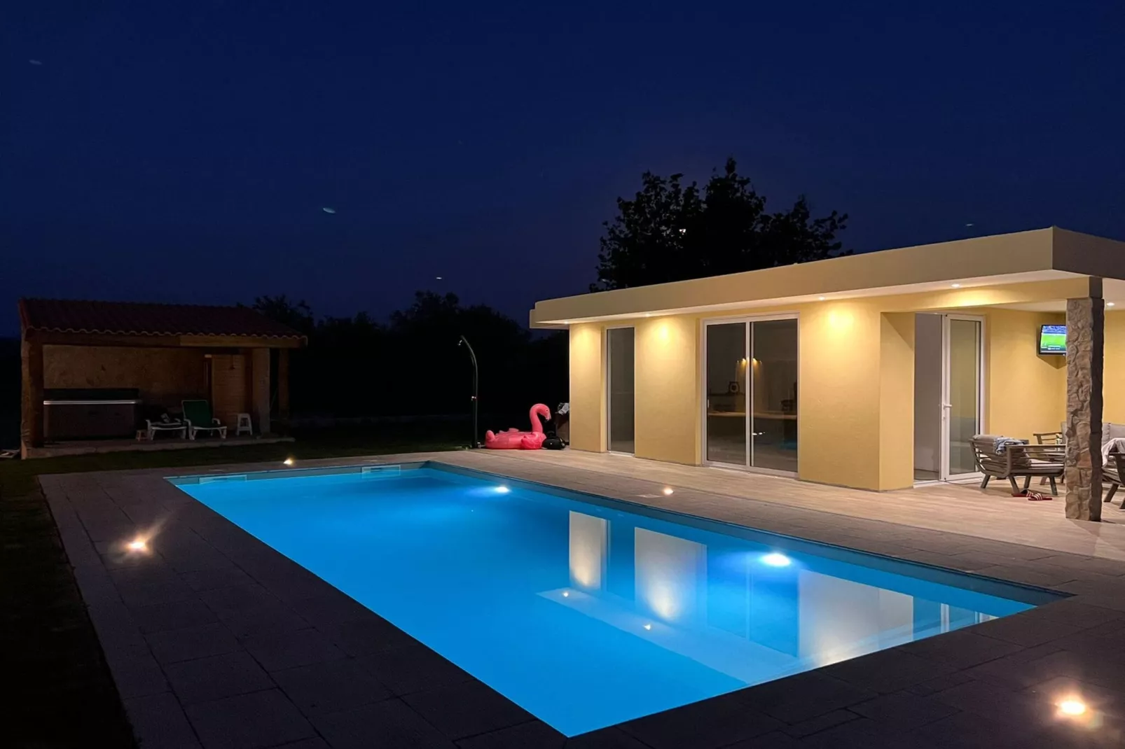 Tulipa-Pool