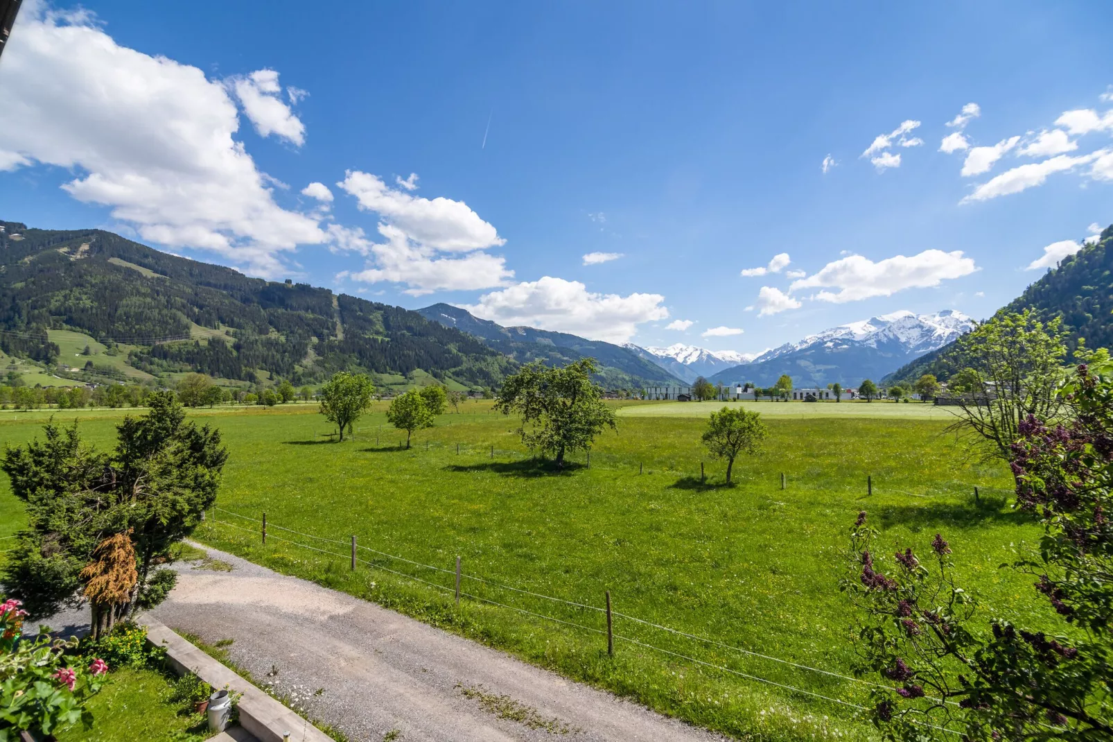 Sinnlehen Sommer-View summer