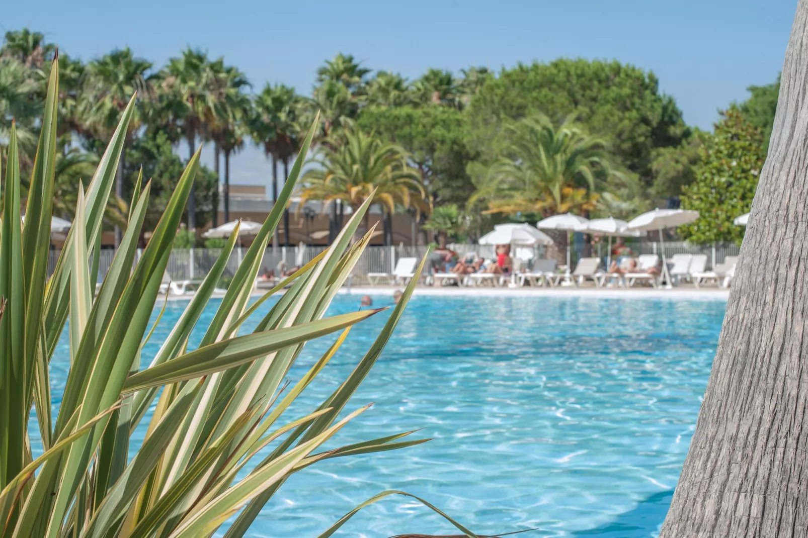 Residence Les Rives de Cannes Mandelieu Mandelieu-la-Napoule - 25 Standard - Apt 5 p - 1 bedroom-Schwimmbad