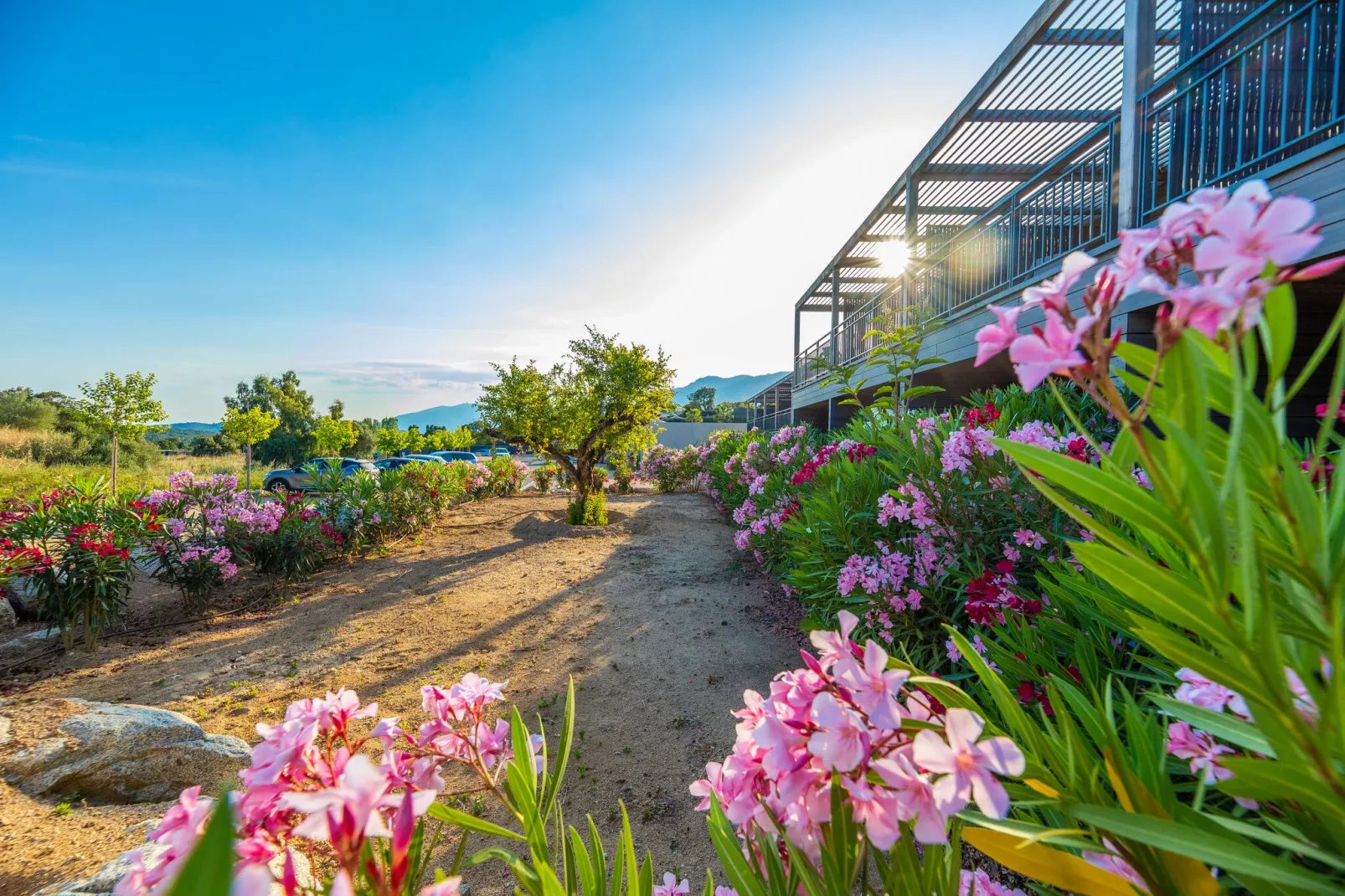 Residence Les Terrasses d'Arsella Porto Vecchio - 36-Exterior summer