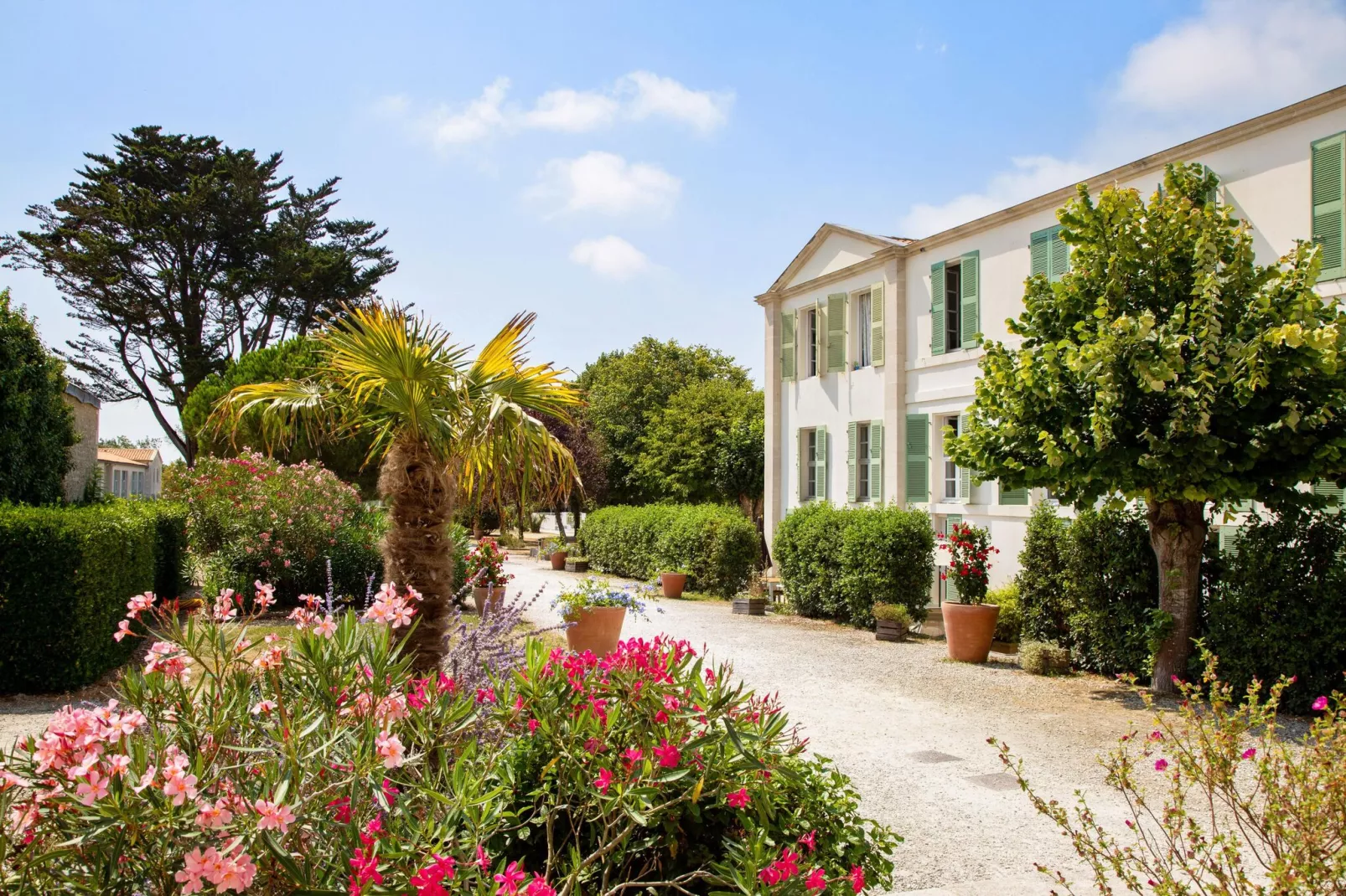 Residence Le Palais des Gouverneurs St Martin-de-Ré - 14 Standard Studio 4 p - 1 mezzanine-Exterior summer