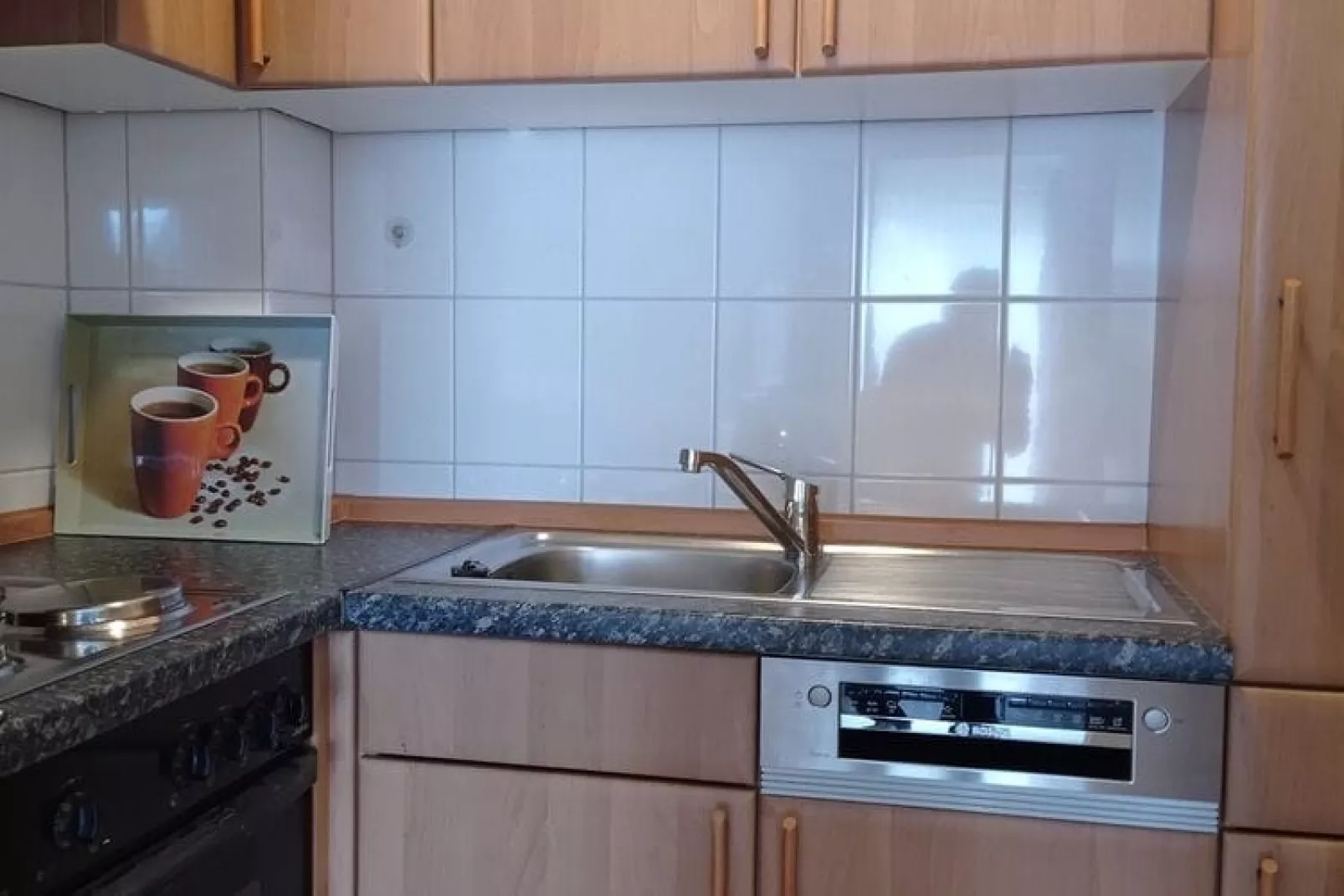 FeWo EG E-37-Kitchen