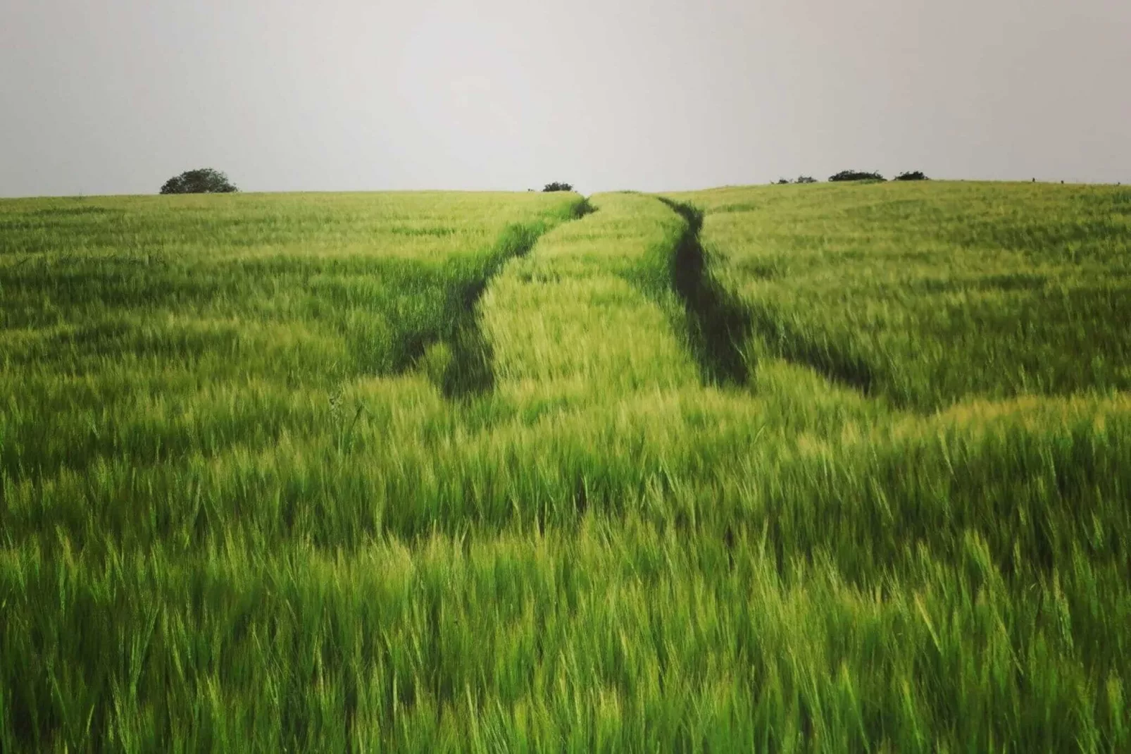 Au Vert Pâturage-Aussicht Sommer