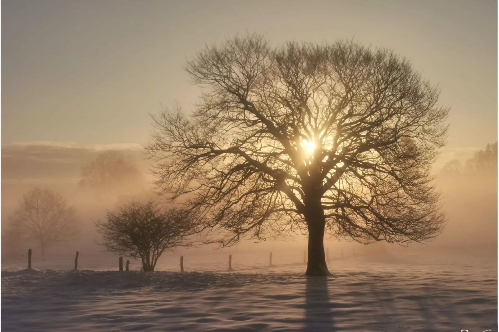 Au Vert Pâturage-Aussicht Winter