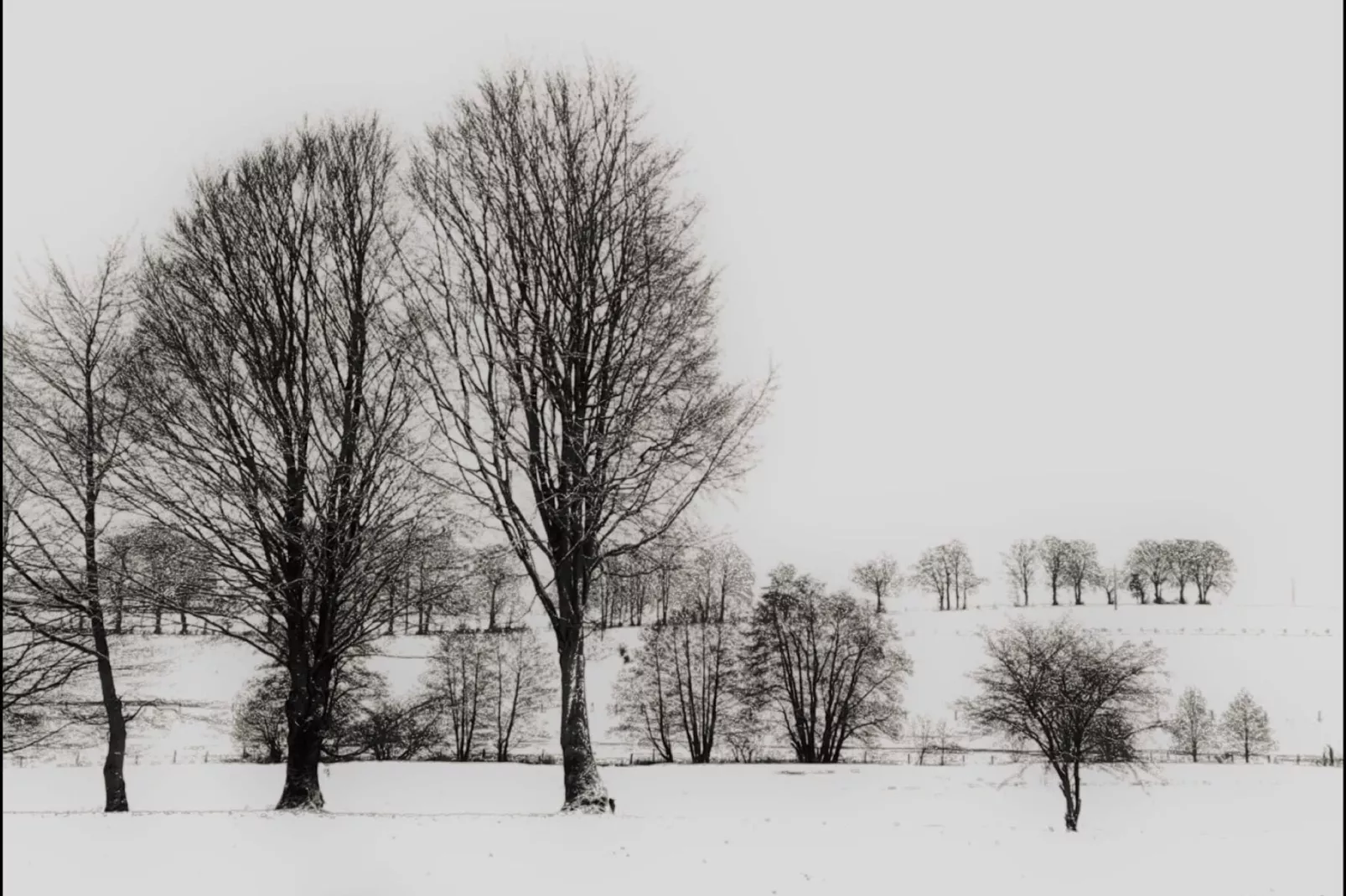 Au Vert Pâturage-Aussicht Winter