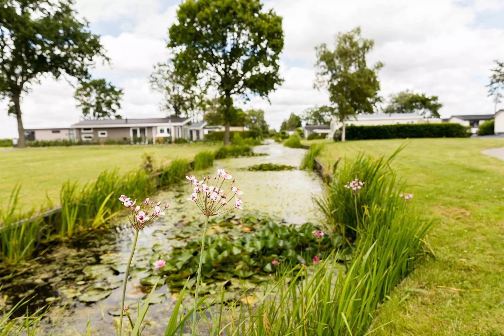 Park Westerkogge 15-Gebiete Sommer 1 km