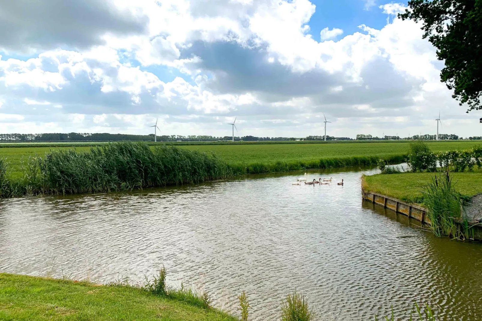Park Westerkogge 16-Areas summer 1km