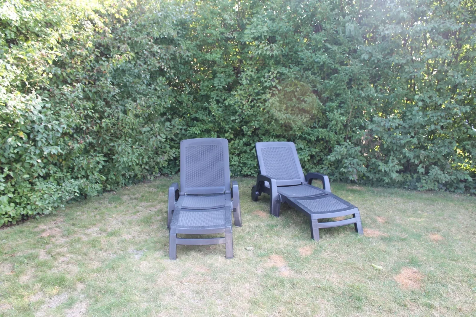 Villapark De Oesterbaai 85-Jardin d'été
