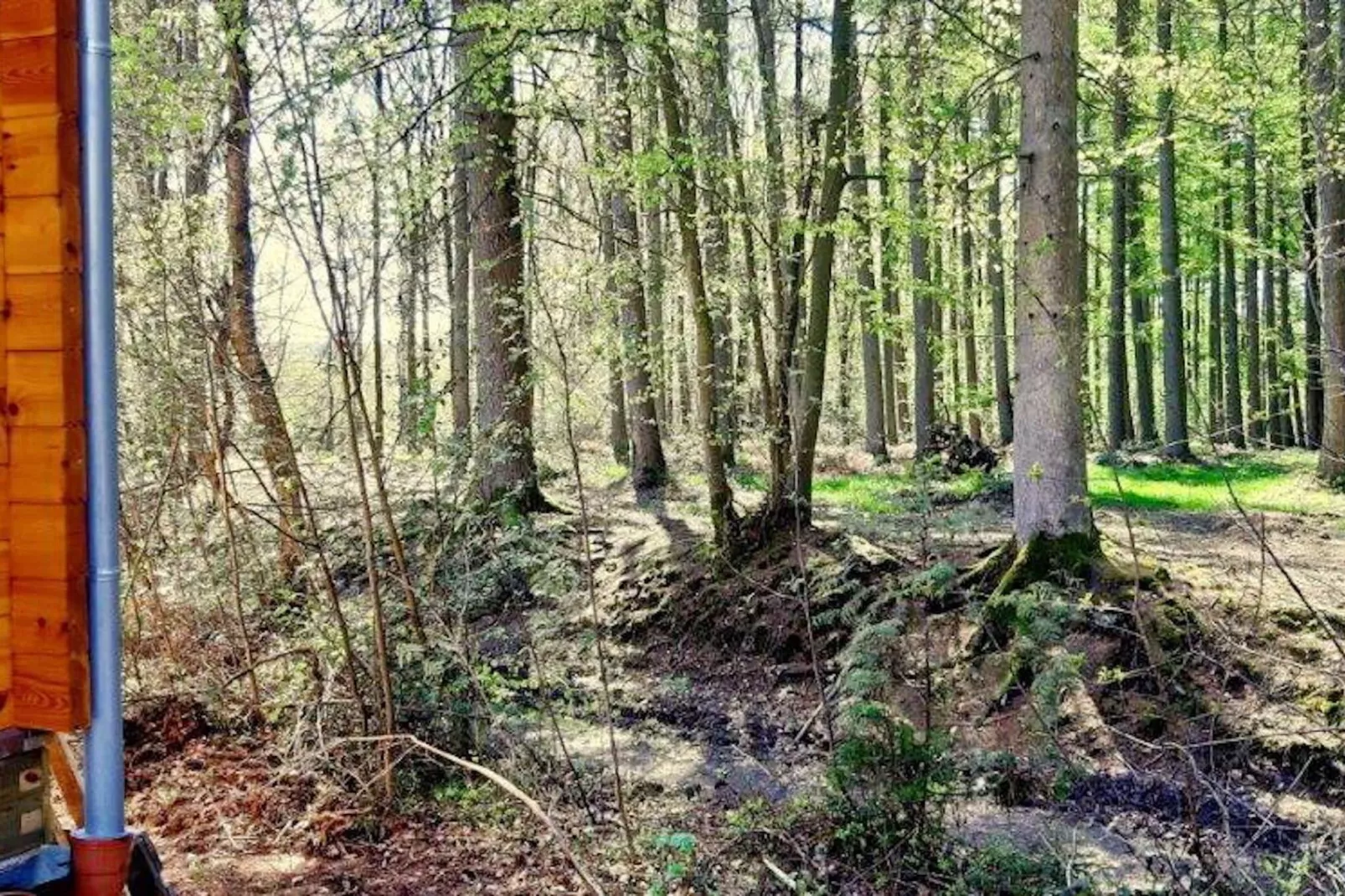 Village de Vacances Oignies 6-Areas summer 1km