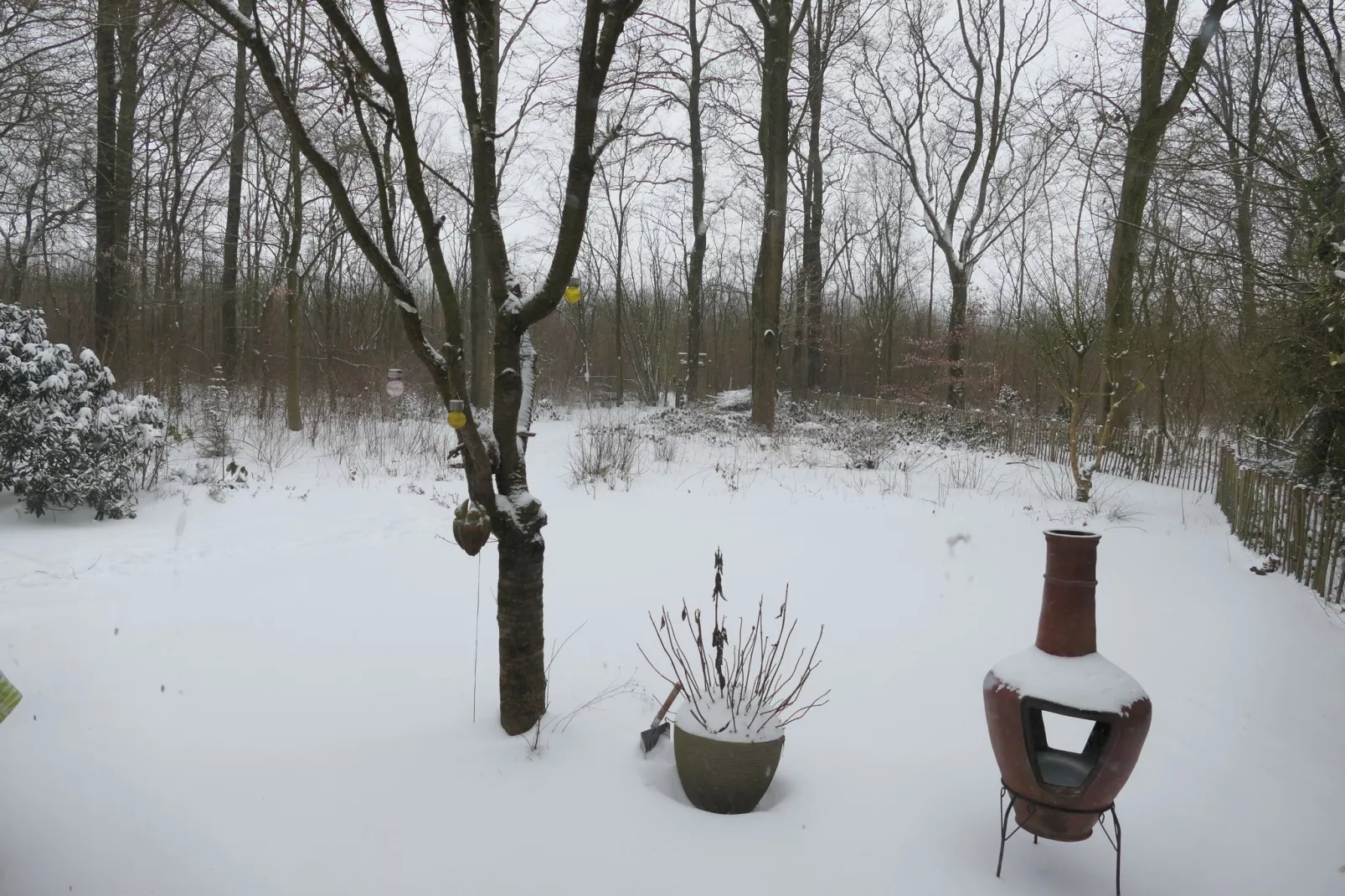 Sneeuwwitje-Area winter 1km