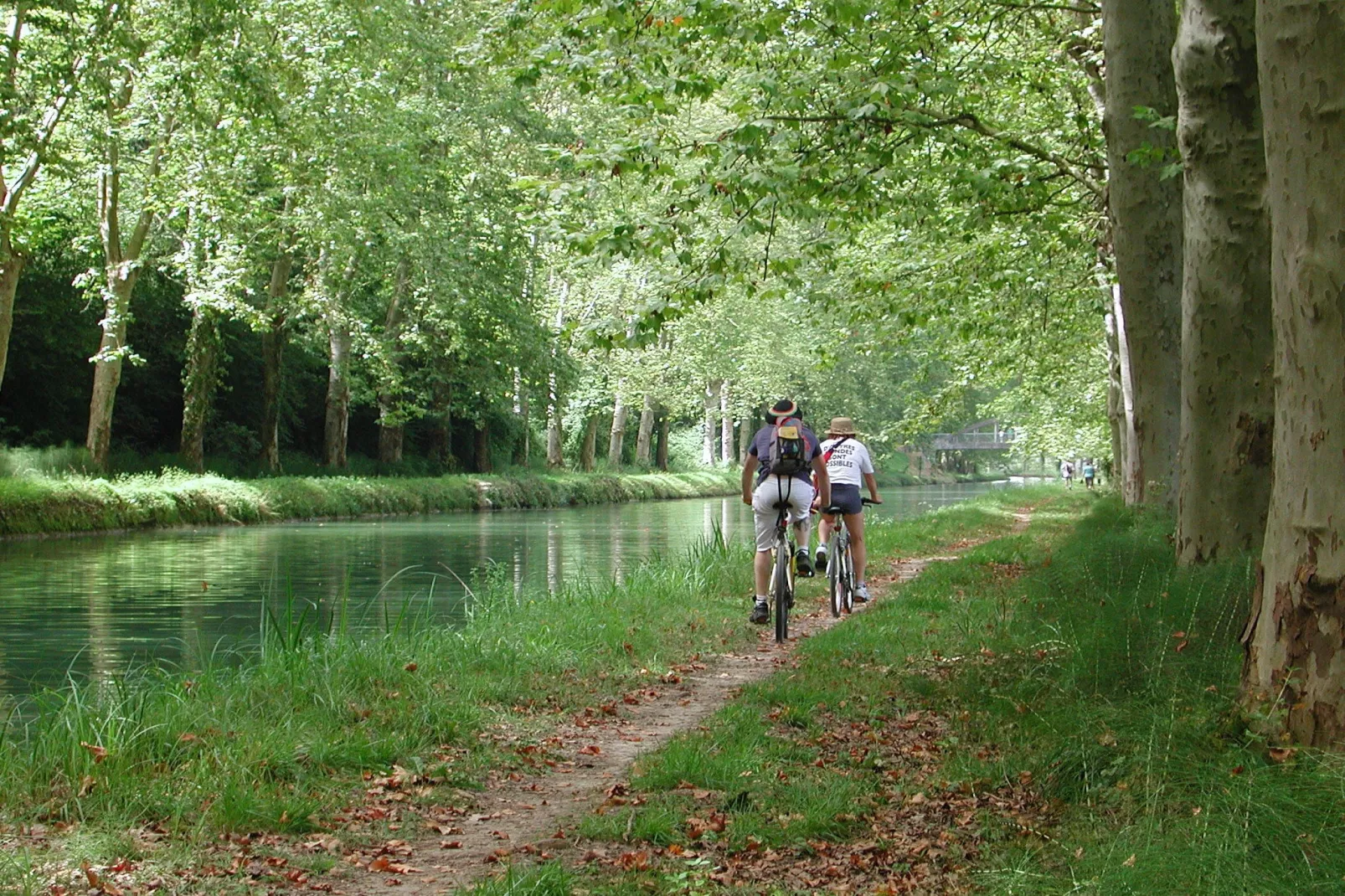 Port Lalande 2-Areas summer 5km