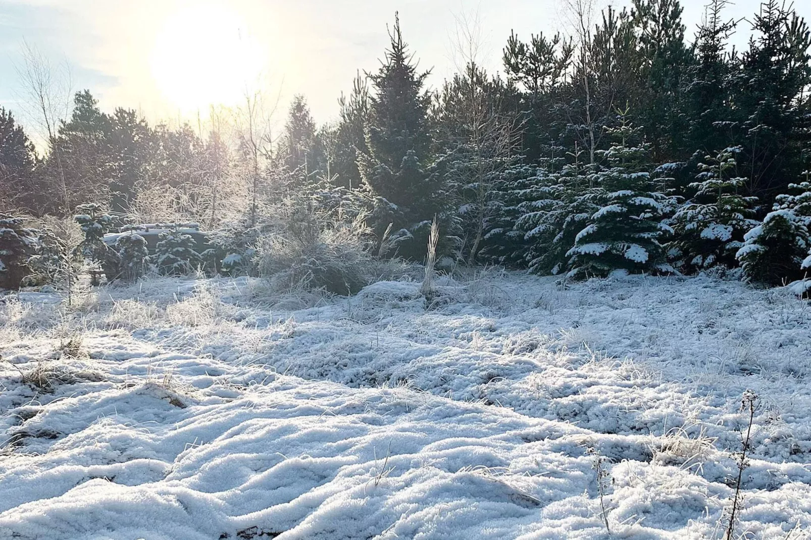 Maison de vacances pour 6 a Væggerløse-By Traum-Extérieur