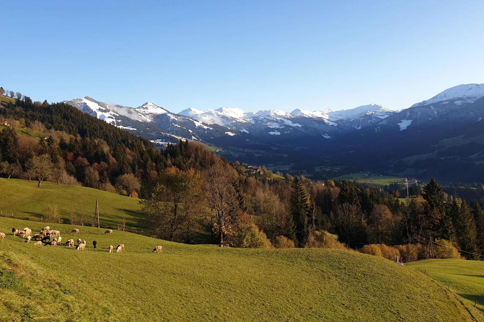 Chalet Hohe Salve-Zones d'été à 1 km